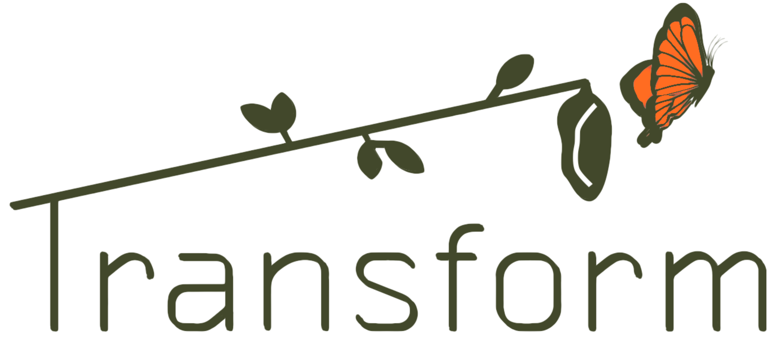 Transform Bermuda | Coaching &amp; Consulting Firm