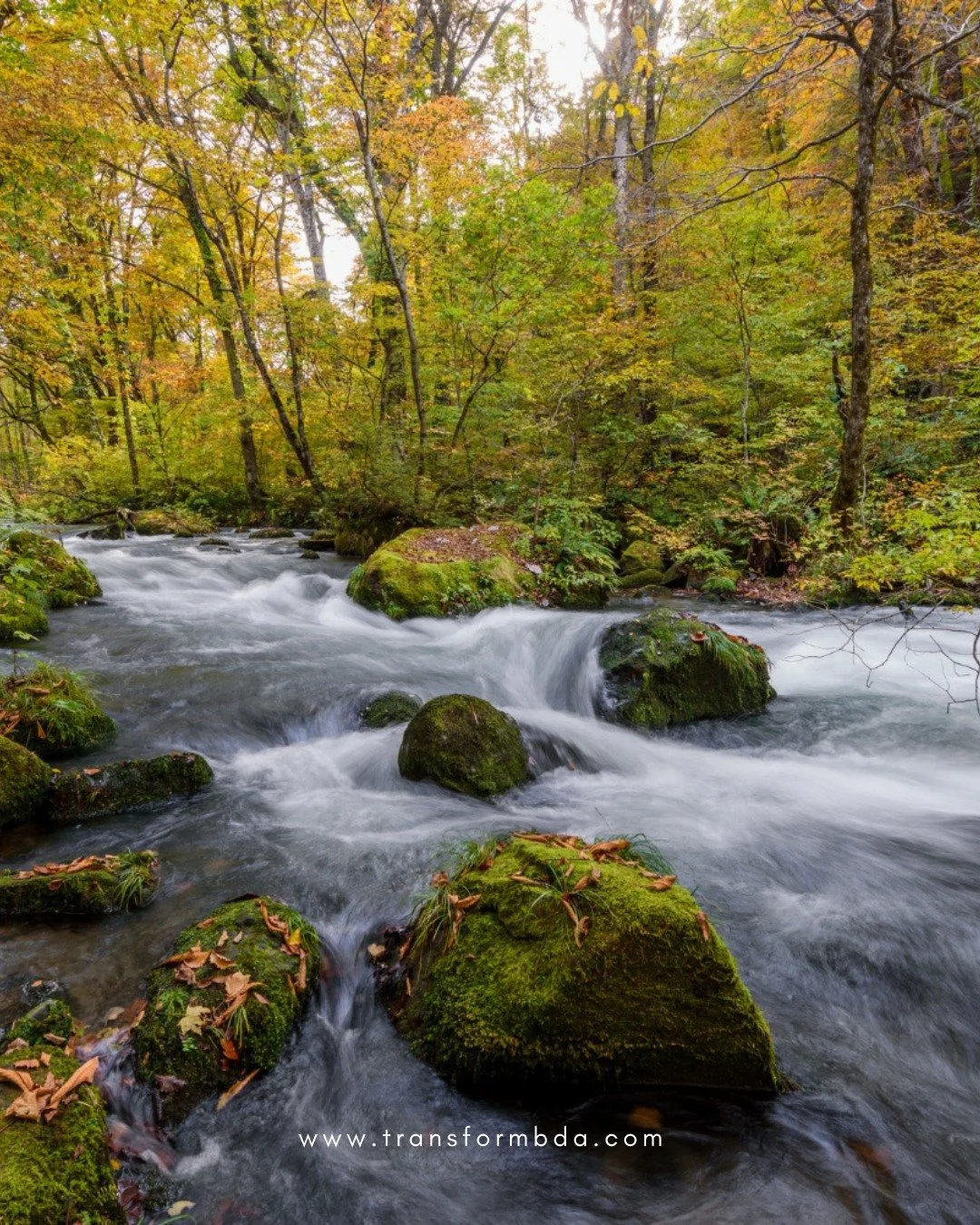 Celebrating the Small Wins 🏆

In the rush of goals, deadlines, and big milestones, it&rsquo;s easy to overlook the small wins. But real progress is often found in the quiet moments, small steps of healing, gratitude, and growth that add up over time