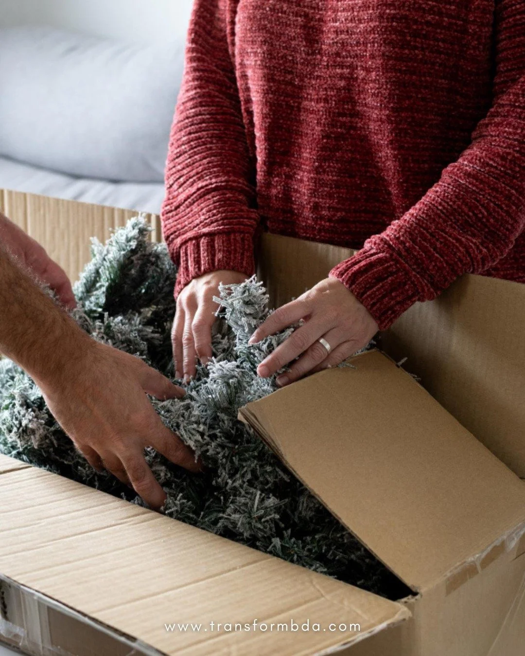 ⏳ The Mid-January Check-In

We are officially halfway through January 2026, and doesn't time fly!

It felt like just yesterday we were deep in the last-minute rush of Christmas and the holidays. Now, the festive chaos is gone, replaced by the reality