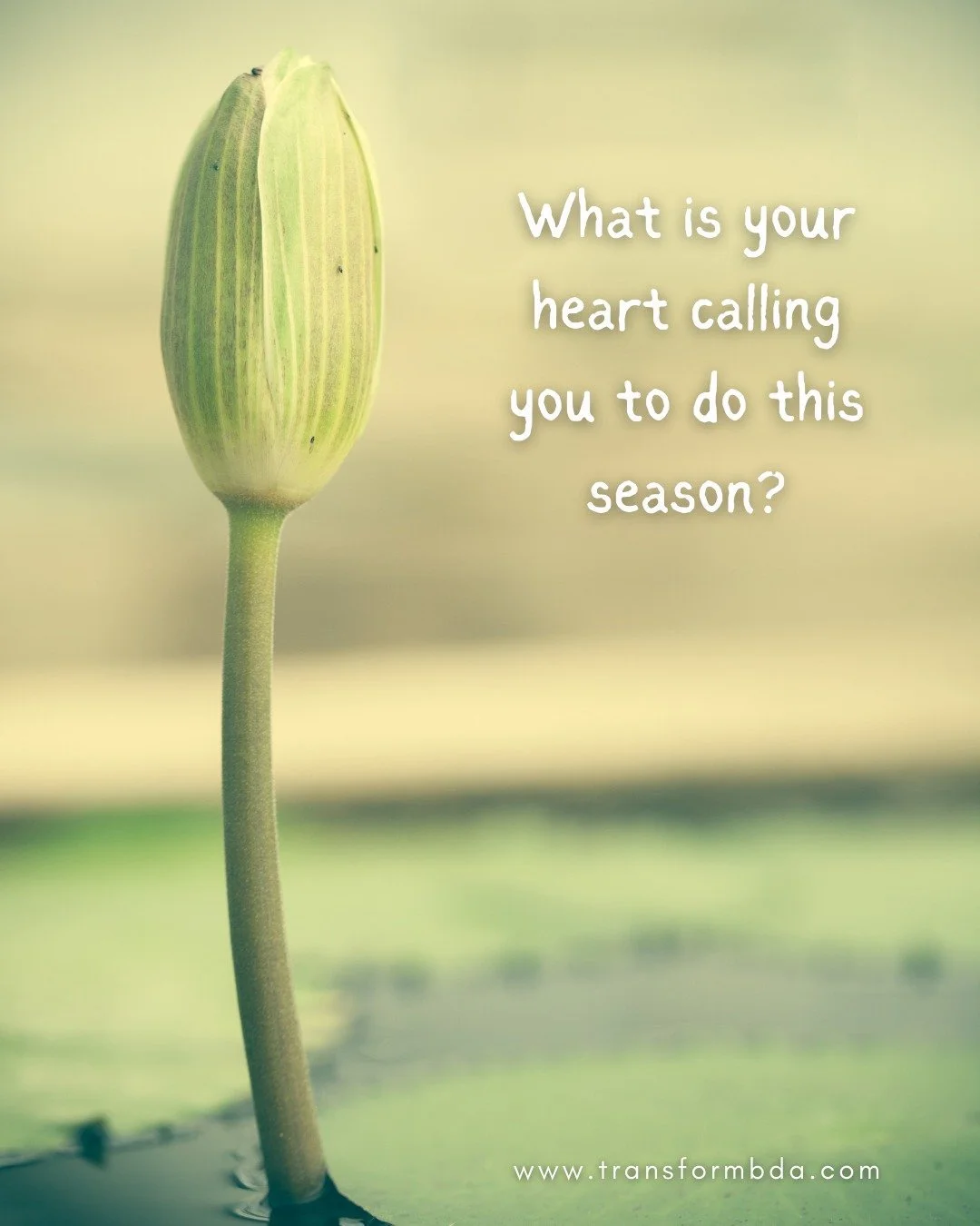 🐣 It's that time again. The end of one month into the next. Spring is nearly here!

While months change like seasons, we often stay stuck in fearful mental loops. Whether you&rsquo;re a perfectionist or a pleaser, these thoughts tie you in knots.

B