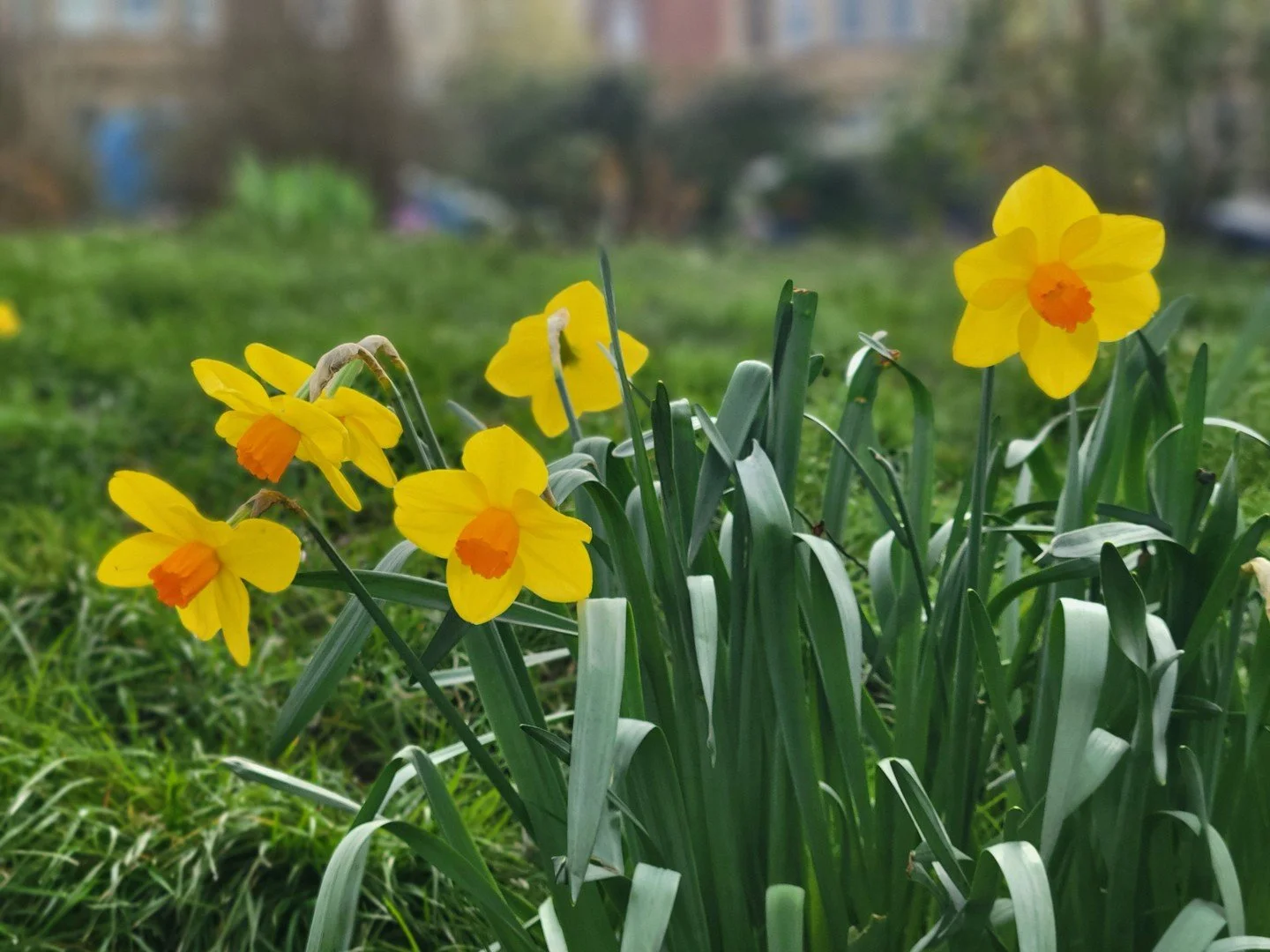 Looking back on March, it felt full of life and quiet growth all at once.

My retreat to St. Beuno&rsquo;s in North Wales came together beautifully - time with dear friends, followed by contemplative silence. Alongside that, serving at St. Paul&rsquo