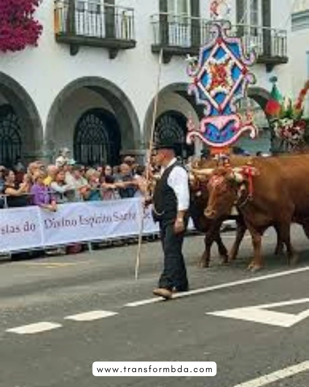 This Pentecost, I&rsquo;m thankful to be in the Azores to experience the Festas do Esp&iacute;rito Santo.

As a Christian, Pentecost always holds deep meaning - a reminder of the Holy Spirit, renewal, and the unity of believers across the world. To w