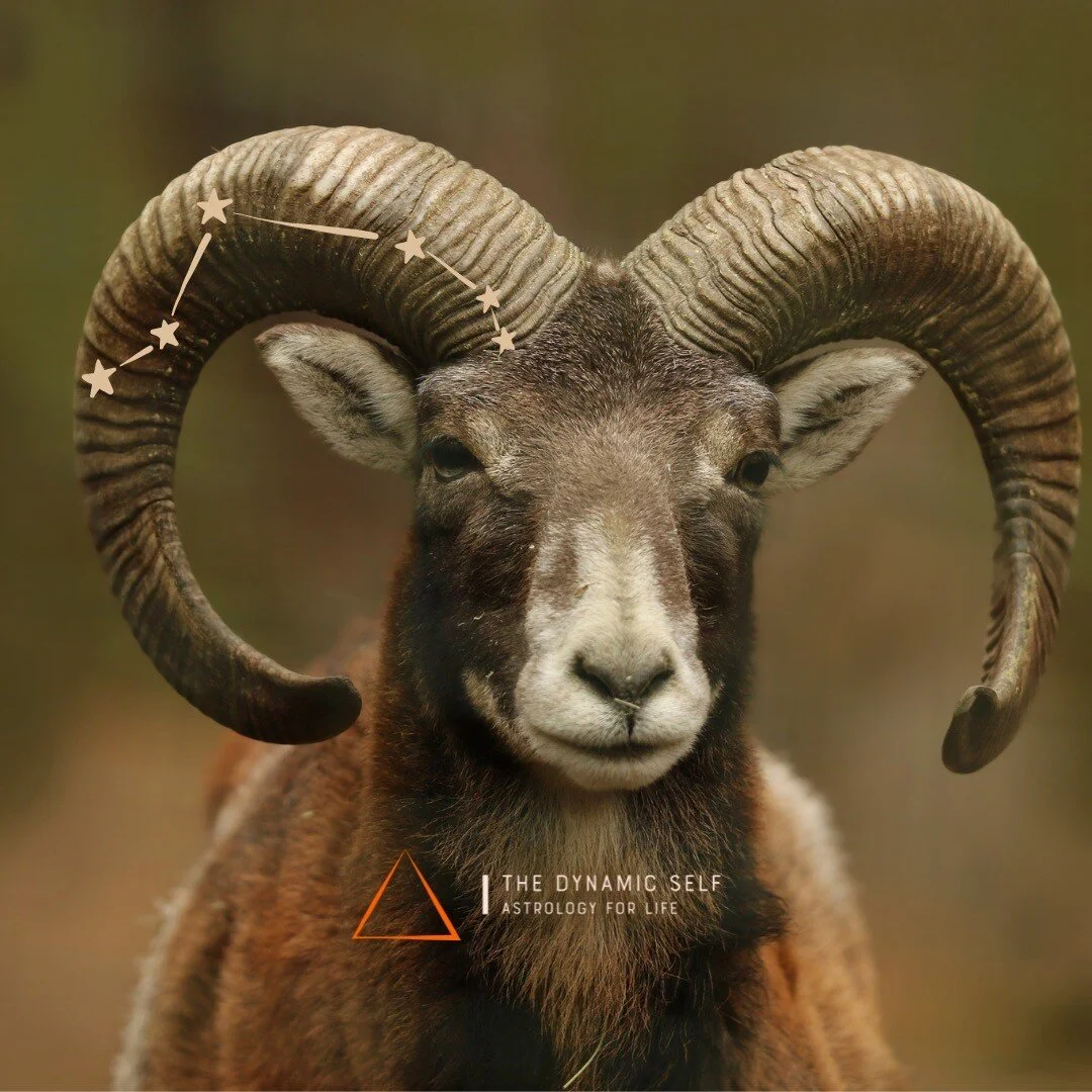 Aries Season : Light the Fire 
March 20, 2022 - April 19, 2022 
We desperately needed Aries Season to kick in! We needed a fire under our a*ses and some active warmth to dry things out a bit. The moment that Aries season started I found myself throwi