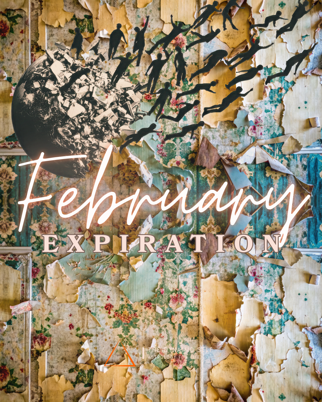 February 2026 : Expiration