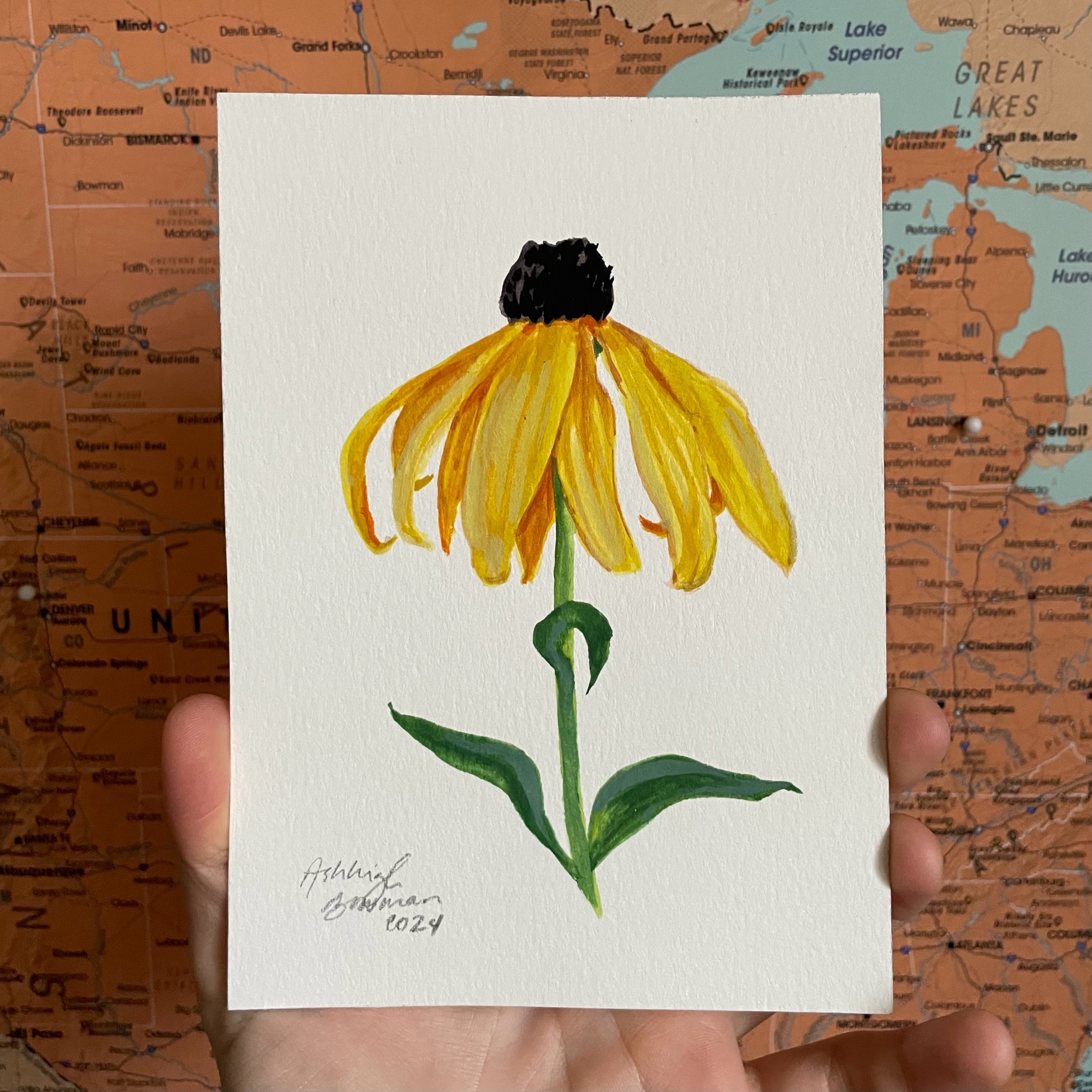 Native Wildflower Original Paintings