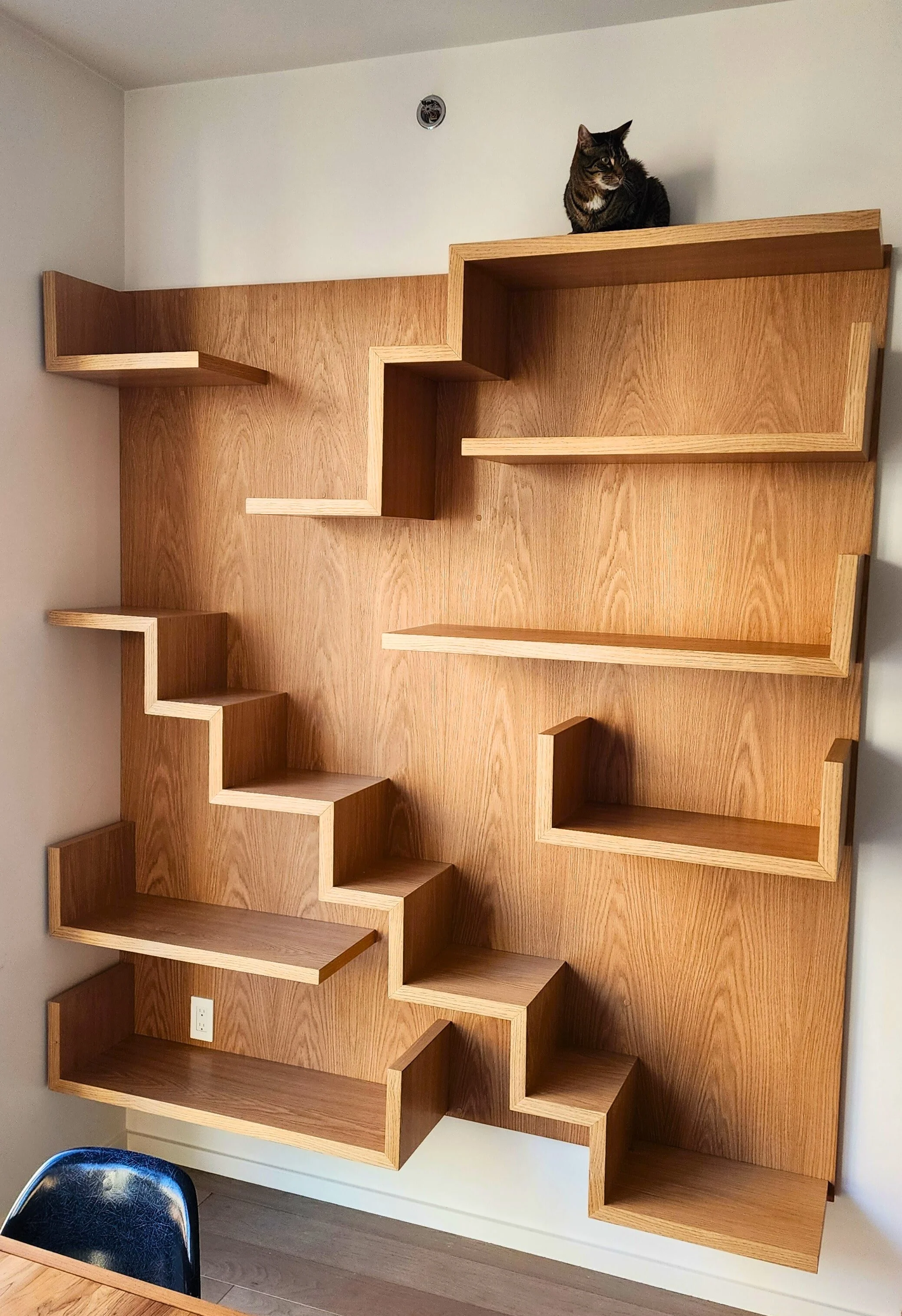 cat-friendly-custom-bookshelf-nyc-devine-woodworking.jpg