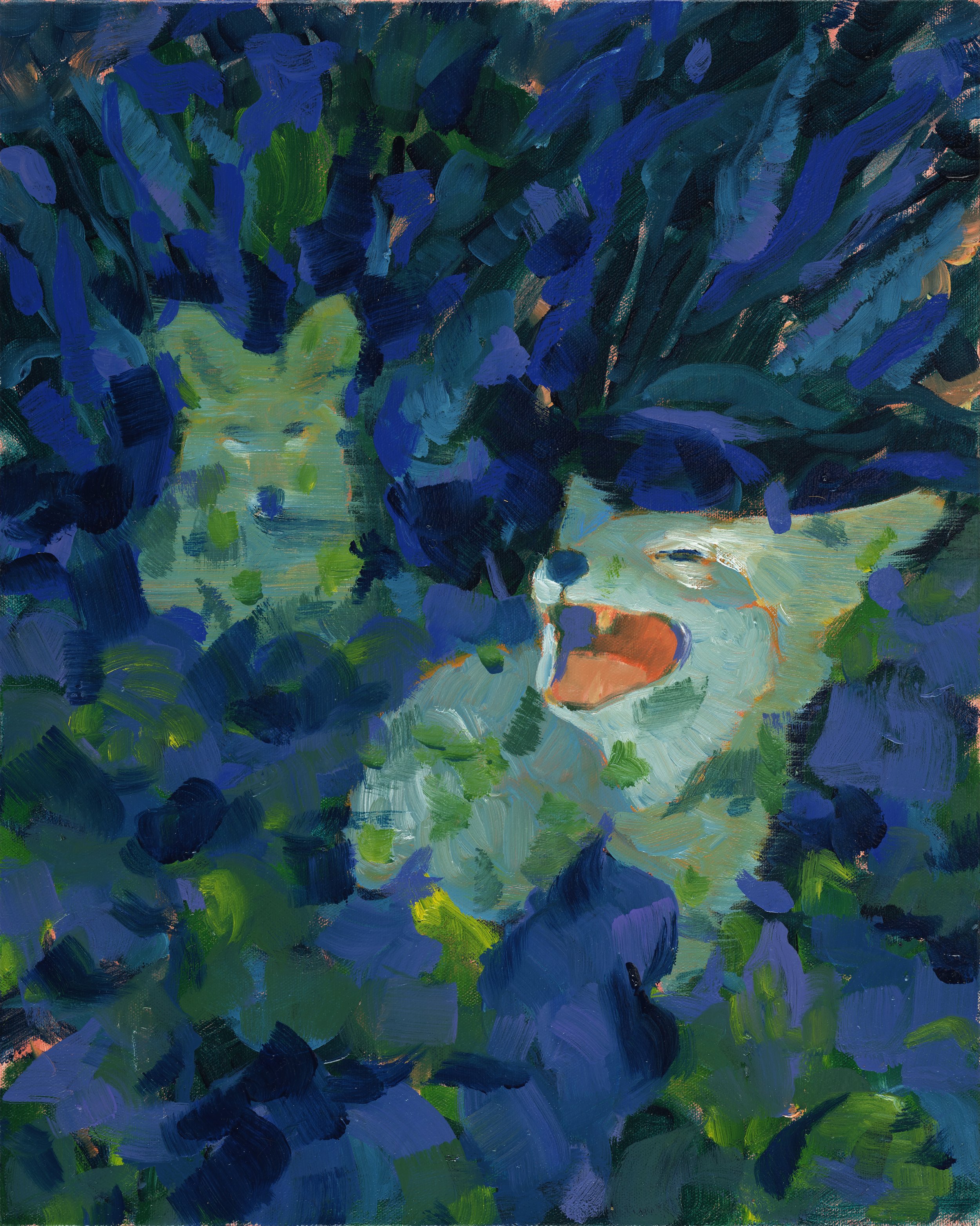 2025 Kenji Liu Anti Fascist Coyotes.jpg