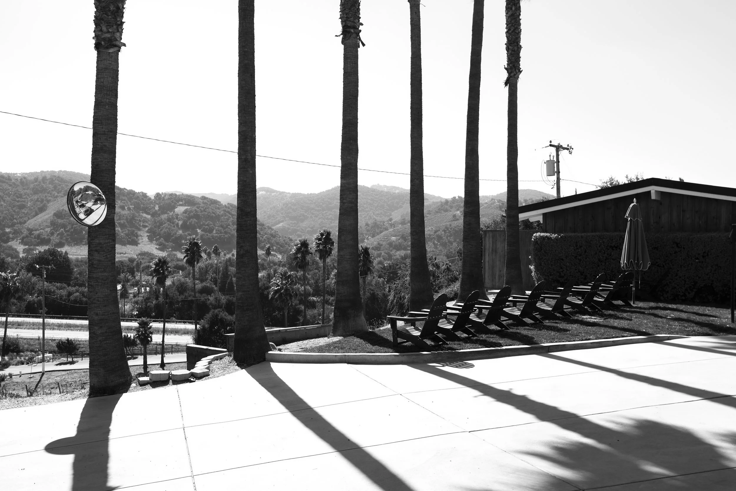 Los_BNW_17.jpg