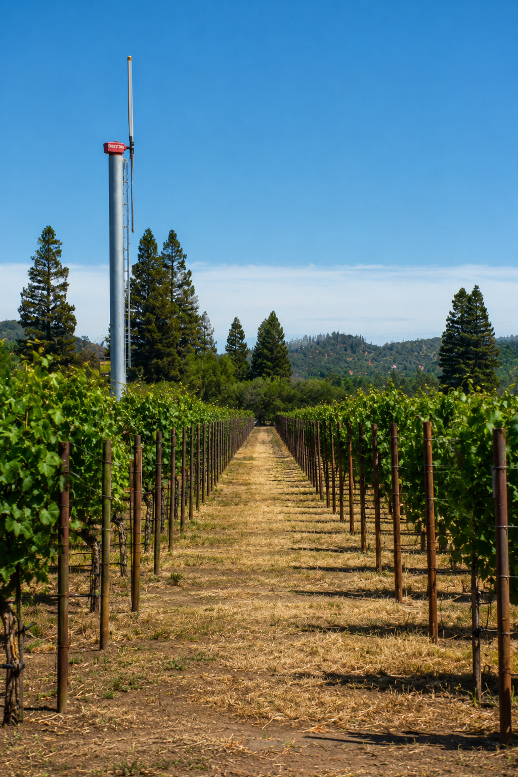 Napa_5.png