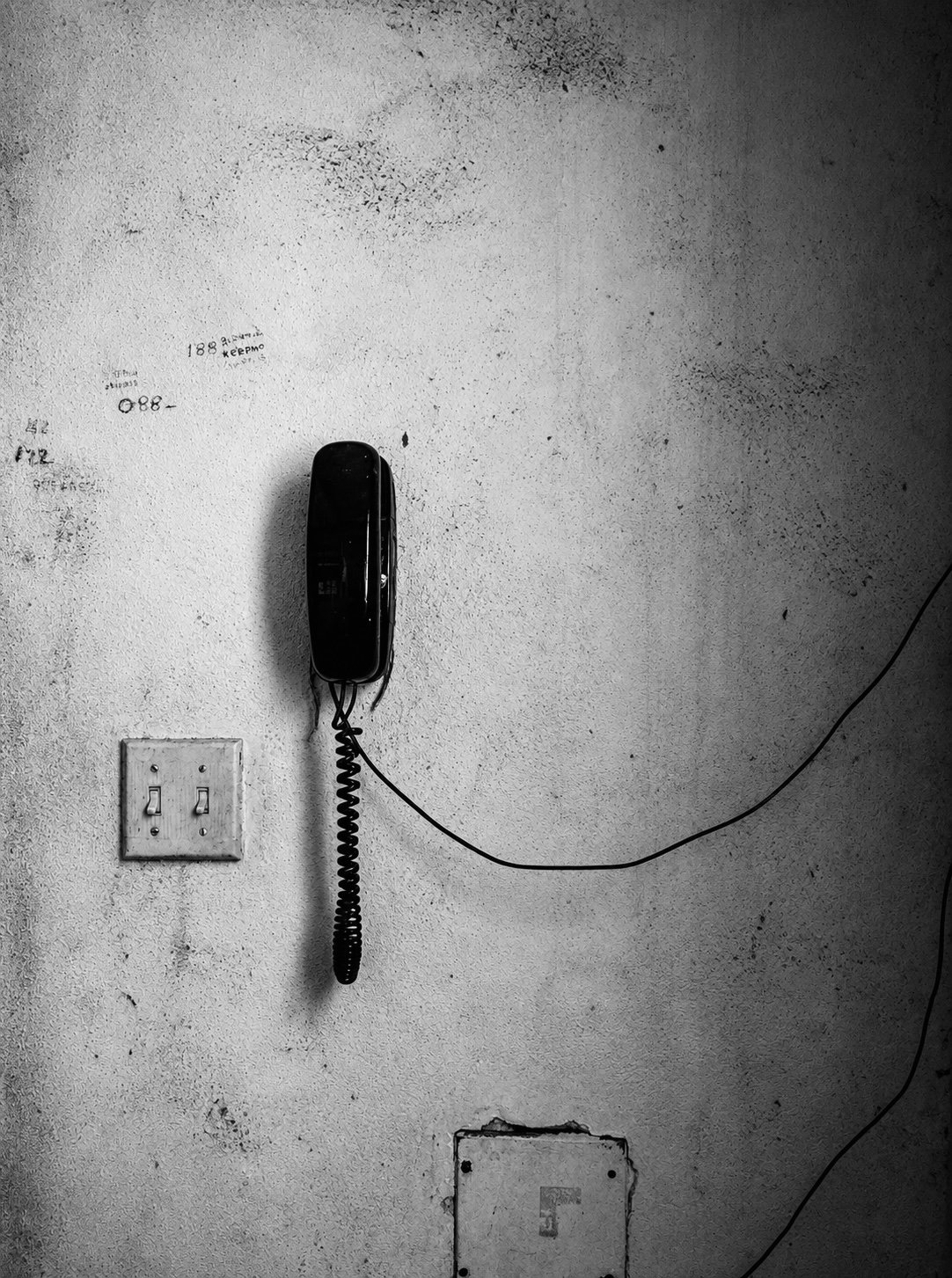 115A4C91-8852-4EAF-950B-D59FC6734152.jpeg