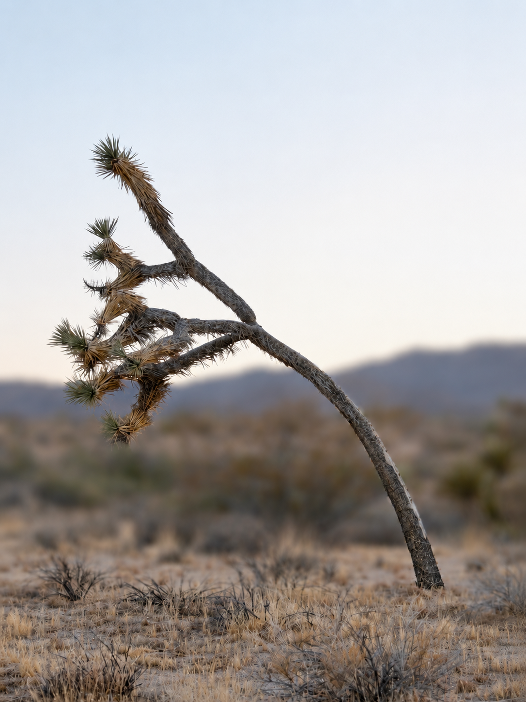 56F917EE-368E-48C4-A6FA-F6251E79FDE9.png