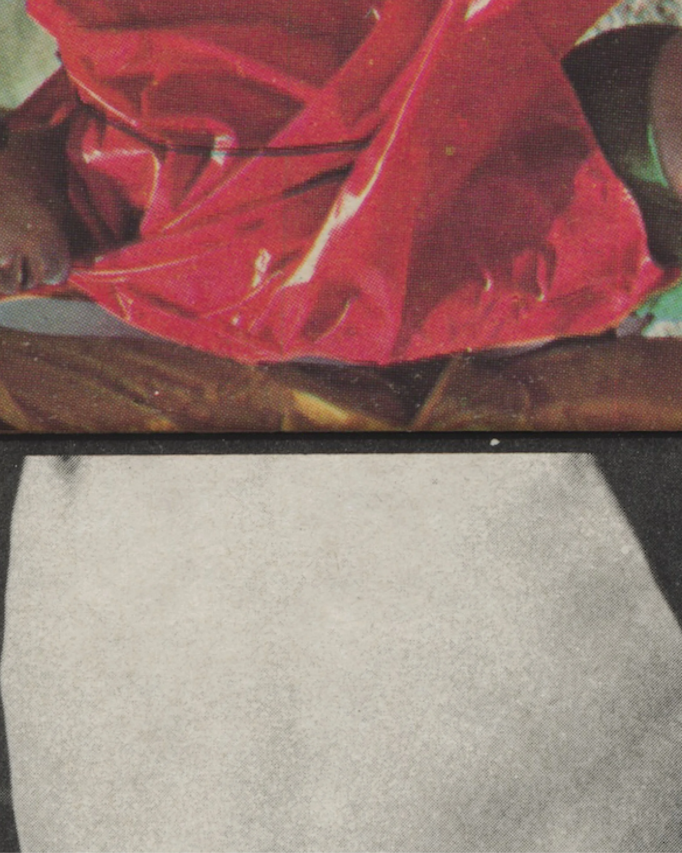 Residual Bodies by FORMA Editions