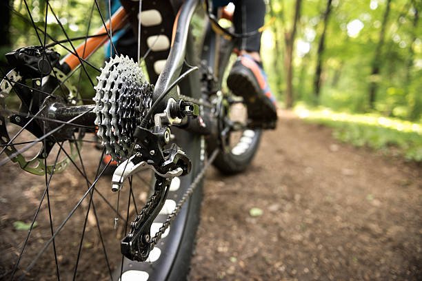 istockphoto-537601906-612x612.jpeg