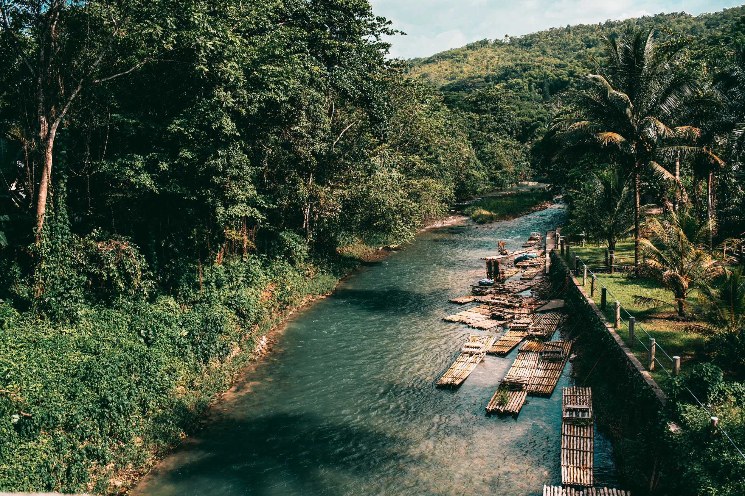 River in St. James Parish, Jamaica          12"x18" Print