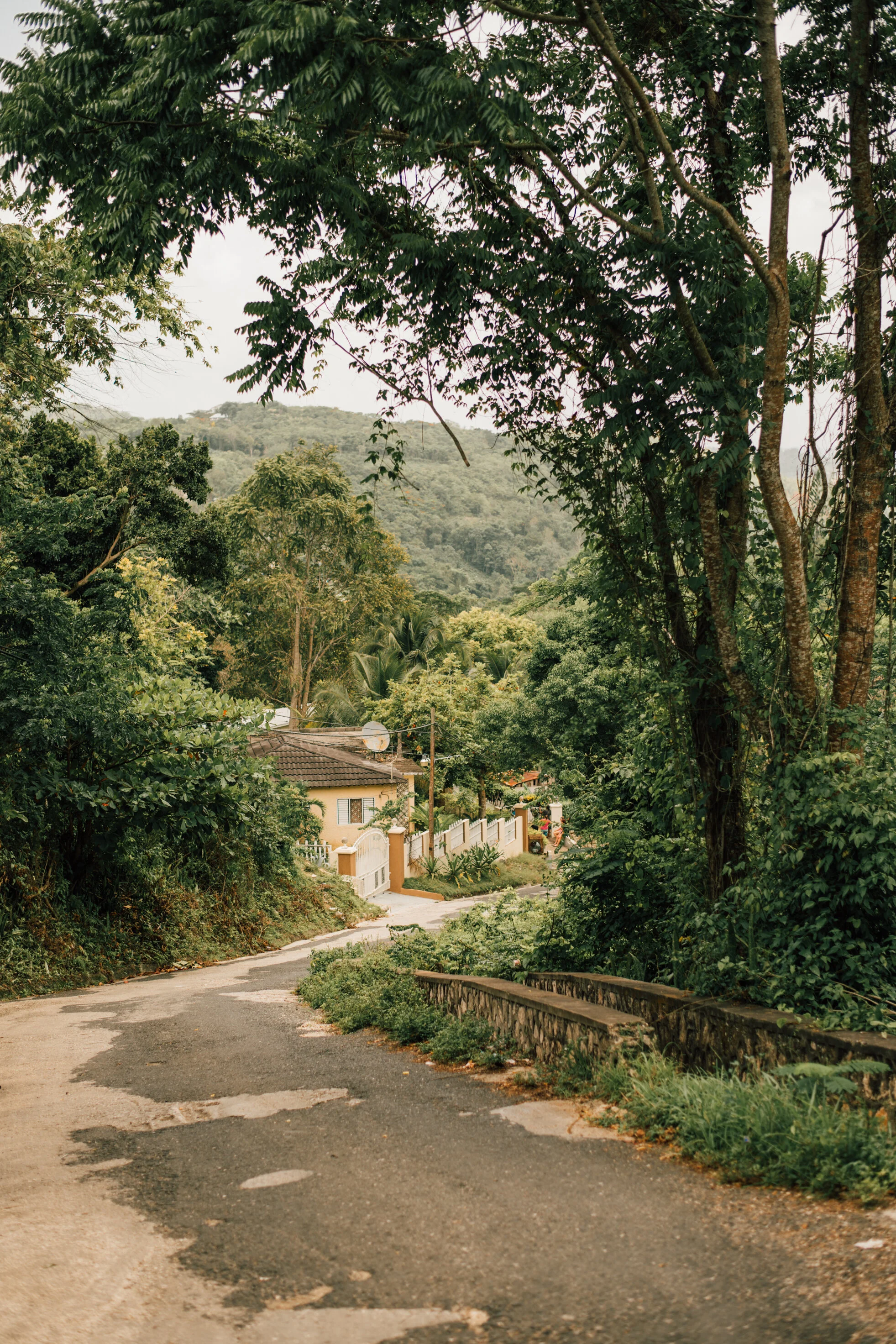Jamaican Road 18"x12" Print