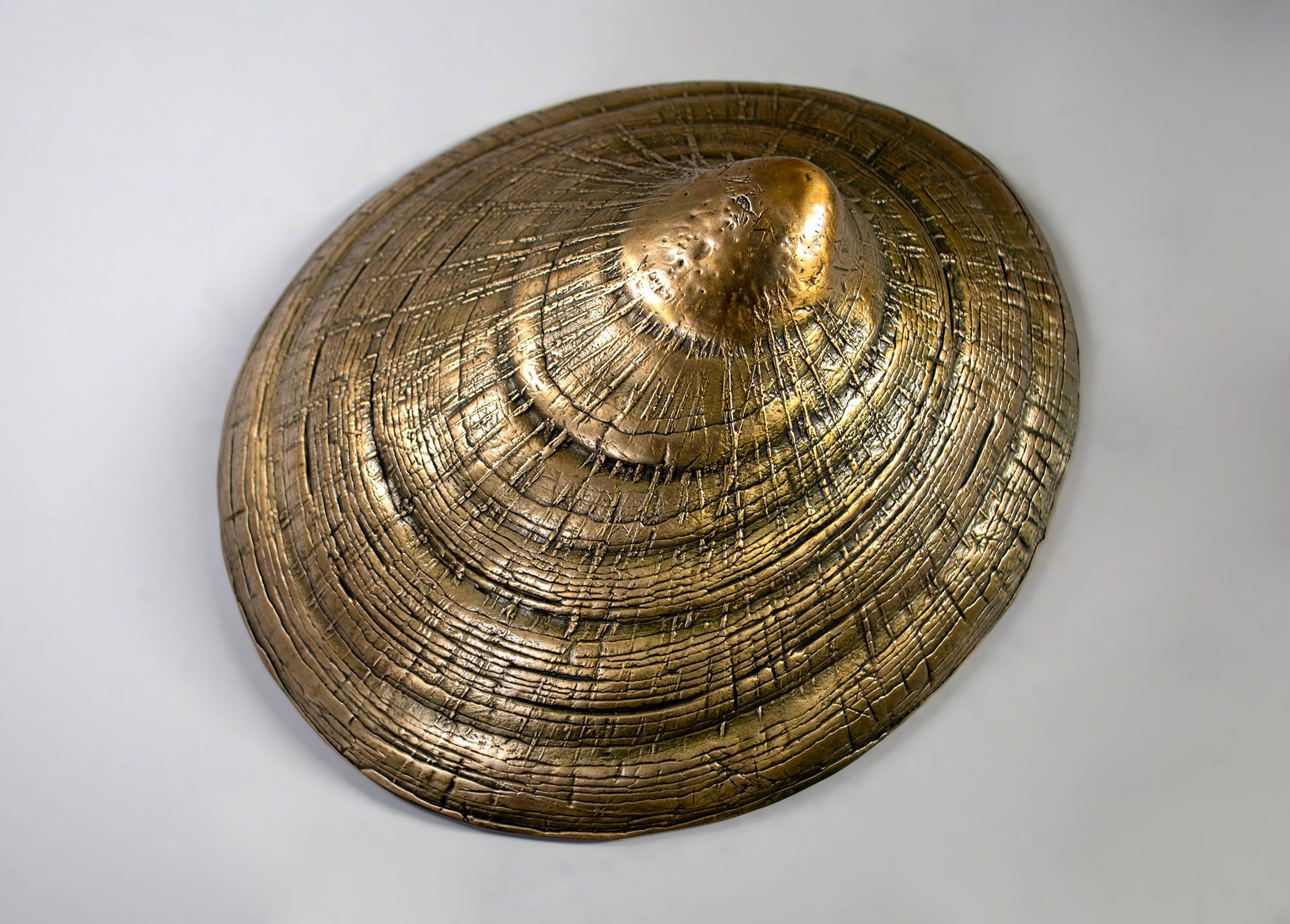 David Eisenhour - Limpet, unique bronze, 9.25 x 7.75 x 4 in.  $1500