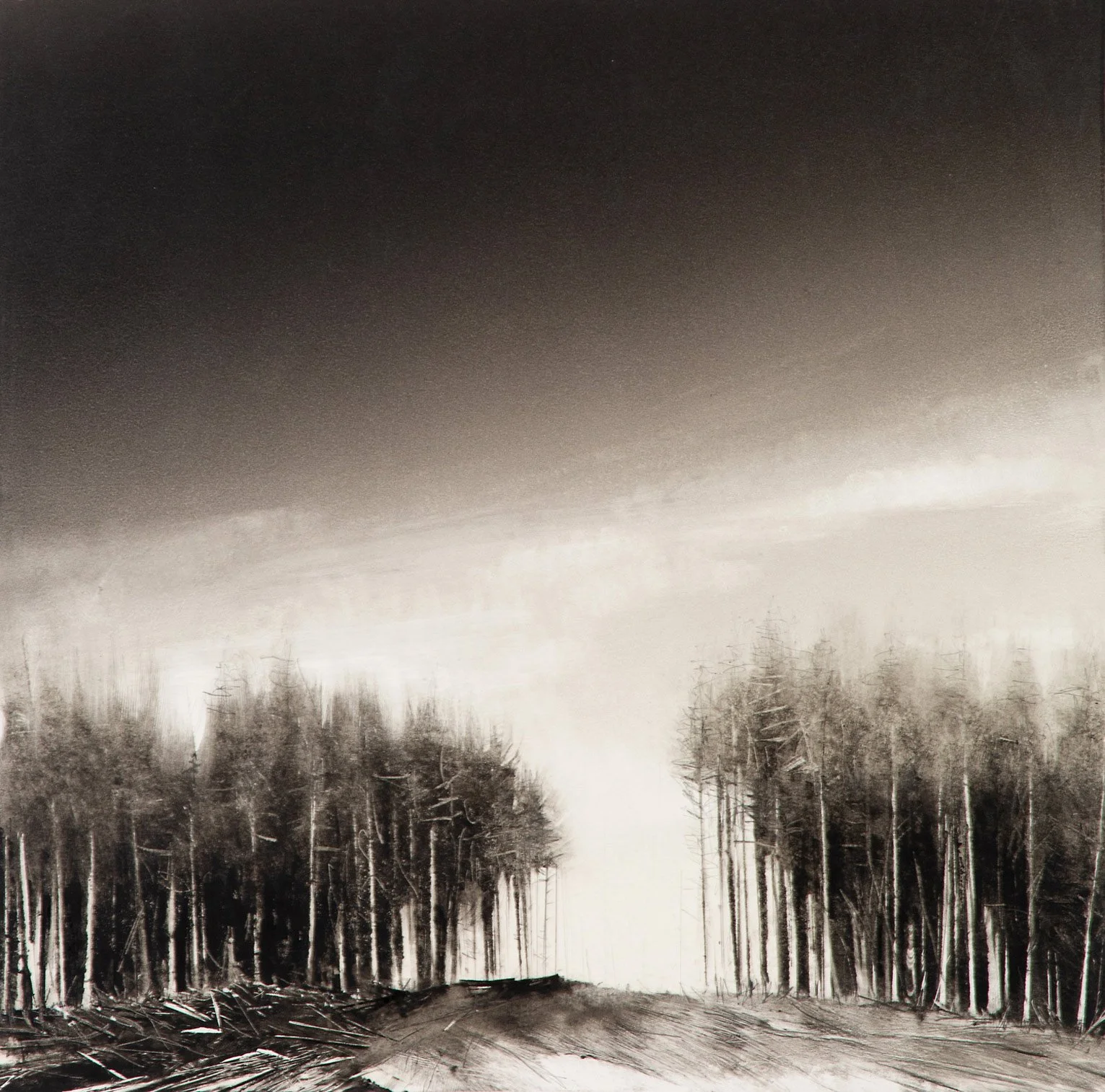 Wendy Orville - La Push Ridge, monotype, 16 x 16 in. $3550