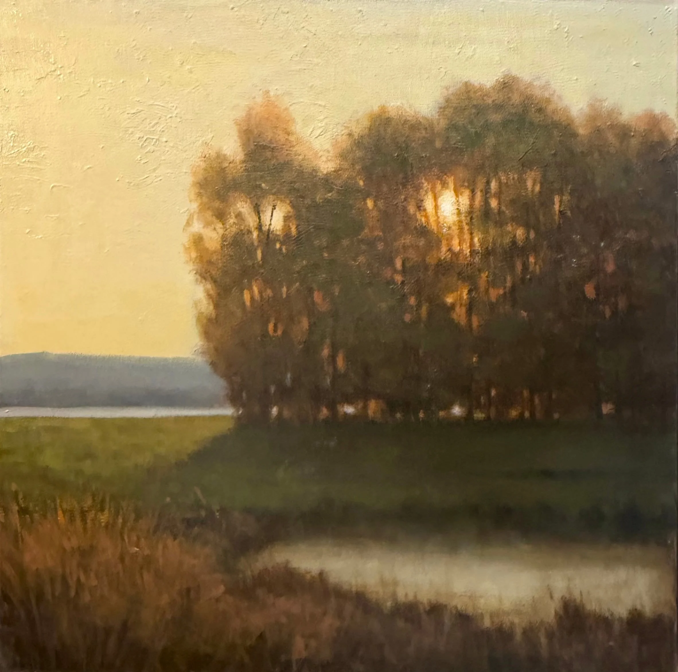 John McCormick -Painter — Harris Harvey Gallery