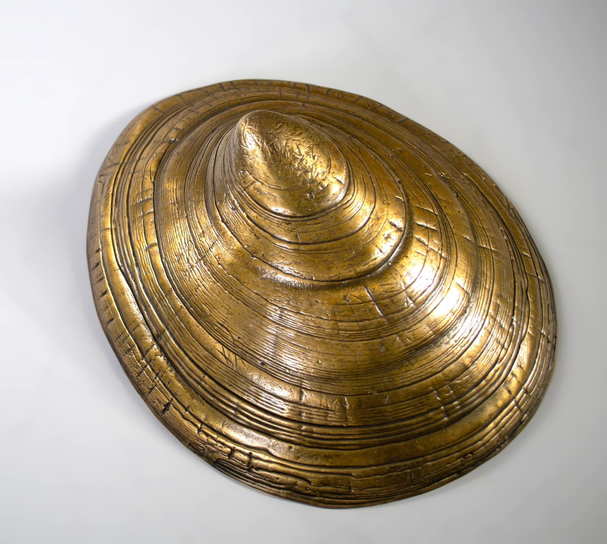 David Eisenhour - Limpet, unique bronze, 9.5 x 8 x 4 in. $1500