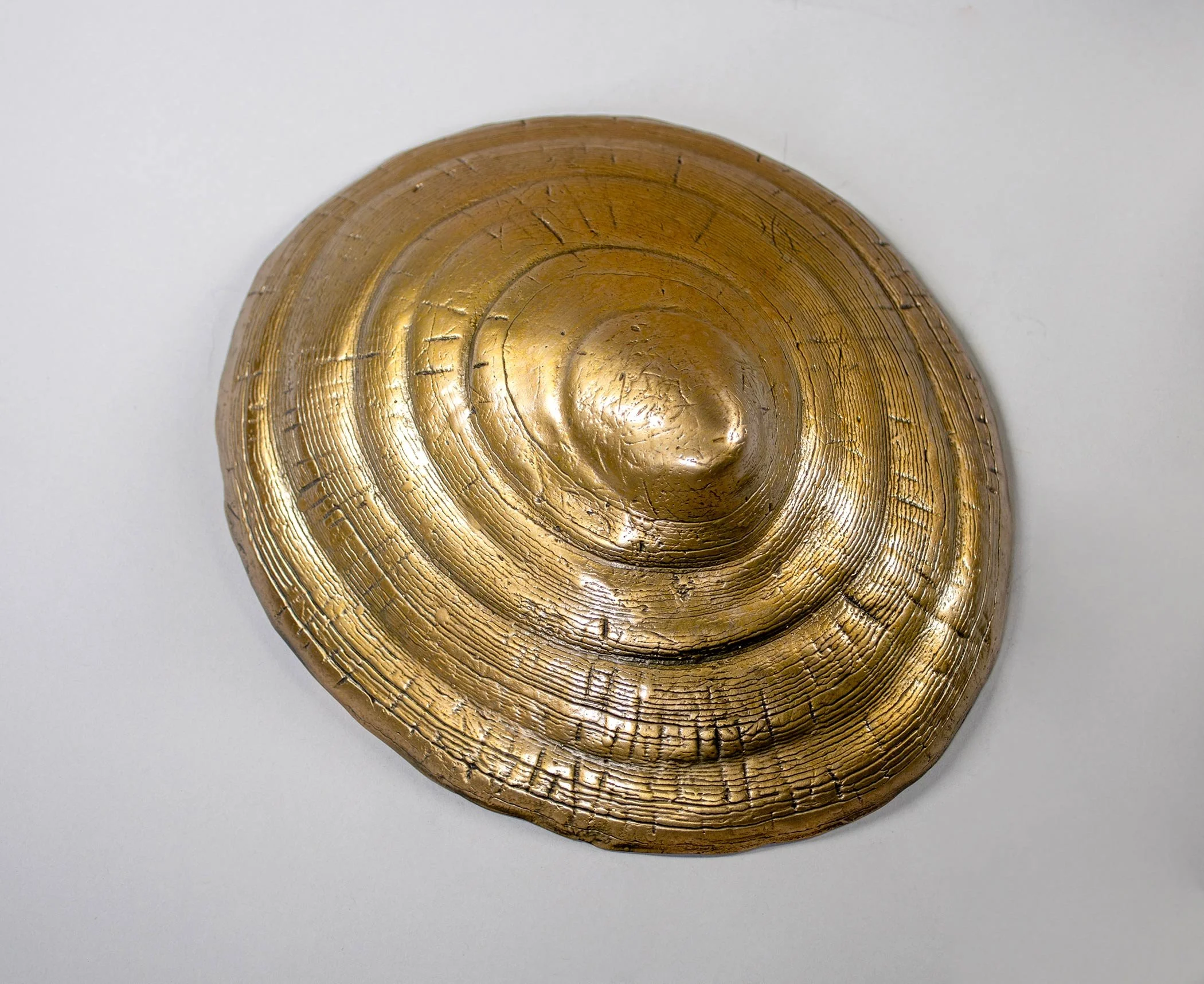 David Eisenhour - Limpet, unique bronze, 9.25 x 8 x 3.5 in.  $1500