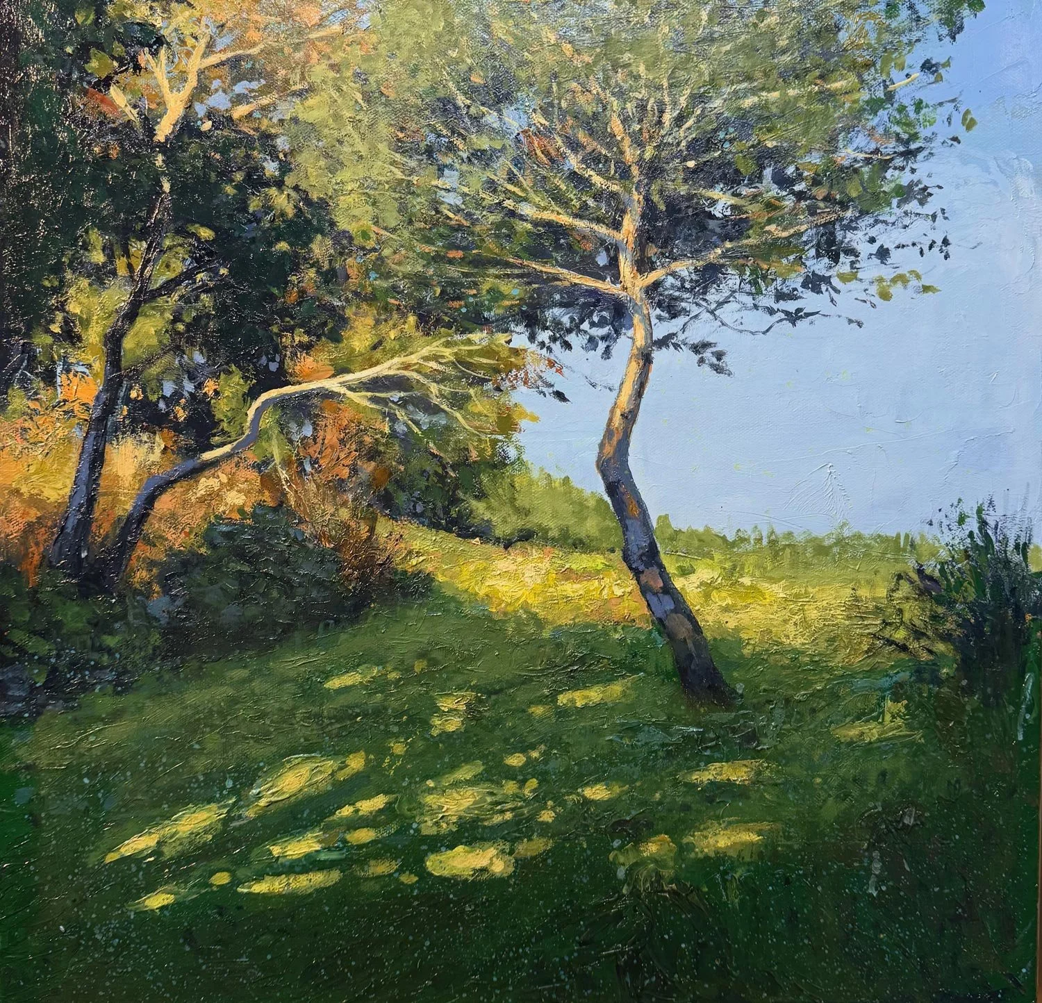 John McCormick - Hillside with Trees, oil on canvas, 18 x 18 in. $3200