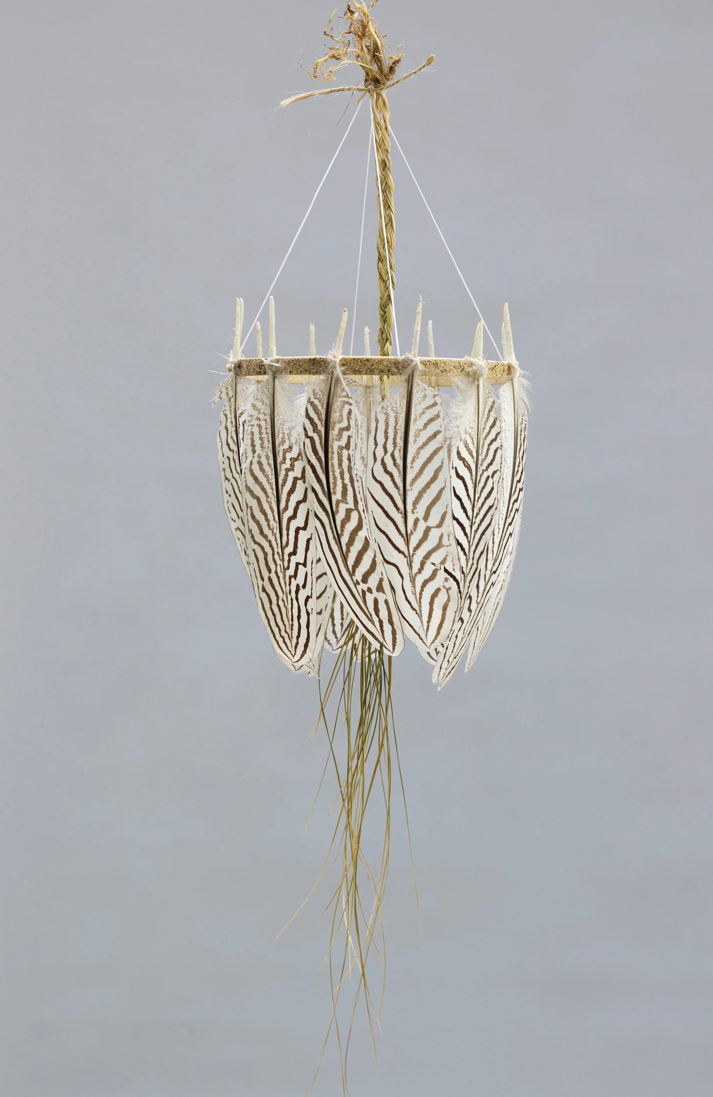 Ann Morris - Sweet Resting, pheasant feathers, sweet grass, embroidery hoop with black pepper, 24 x 6 in. $600