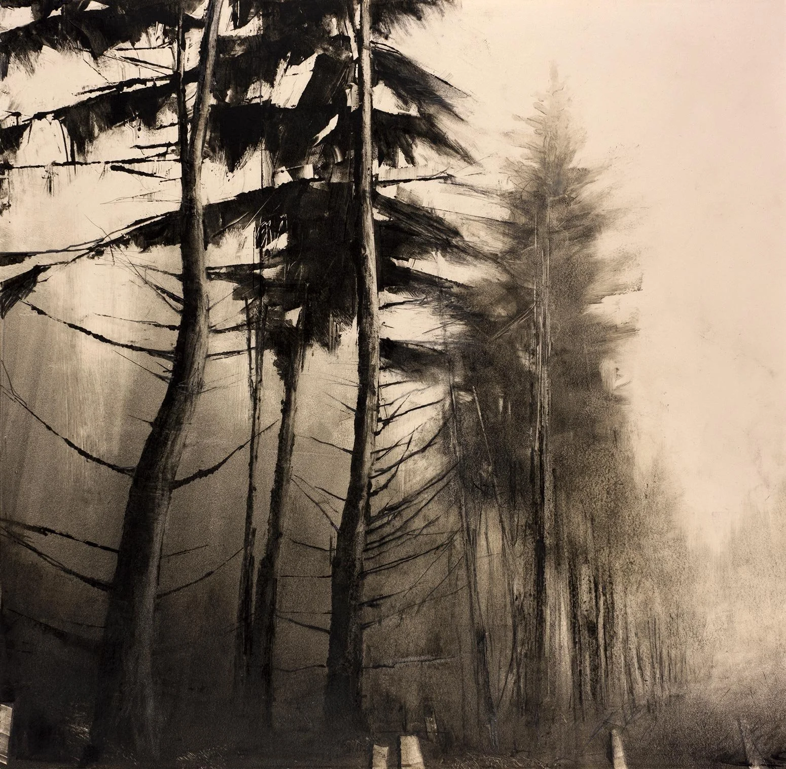 Wendy Orville - Winter Forest, monotype, 12 x 12 in., framed to 26 x 25 in. SOLD