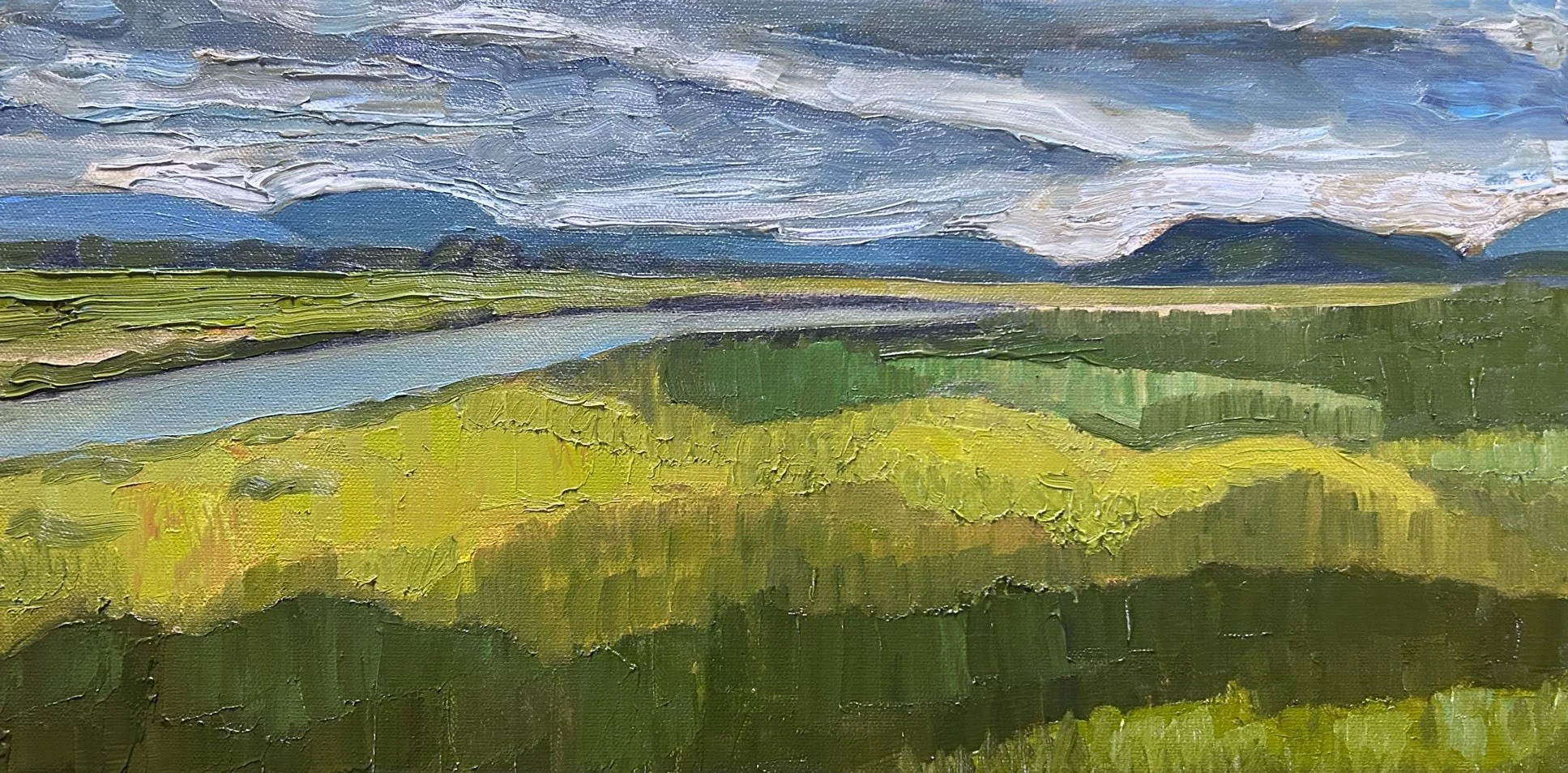 Hart James - Samish Vegetation, oil and charcoal on canvas, 10 x 20 in. SOLD
