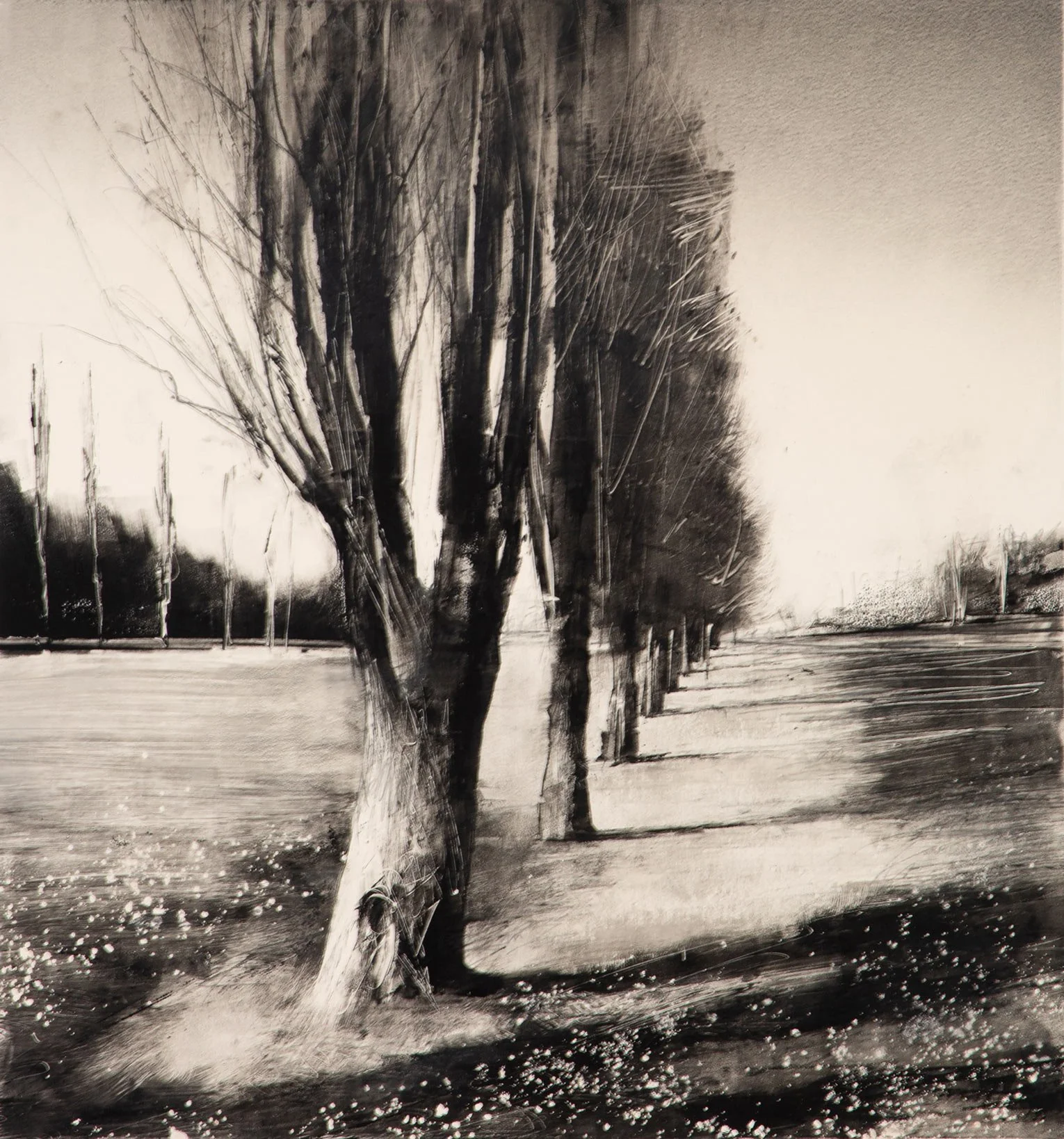 Wendy Orville - Battlepoint Poplars, Spring, monotype, 15.5 x 14.5 in. $3400