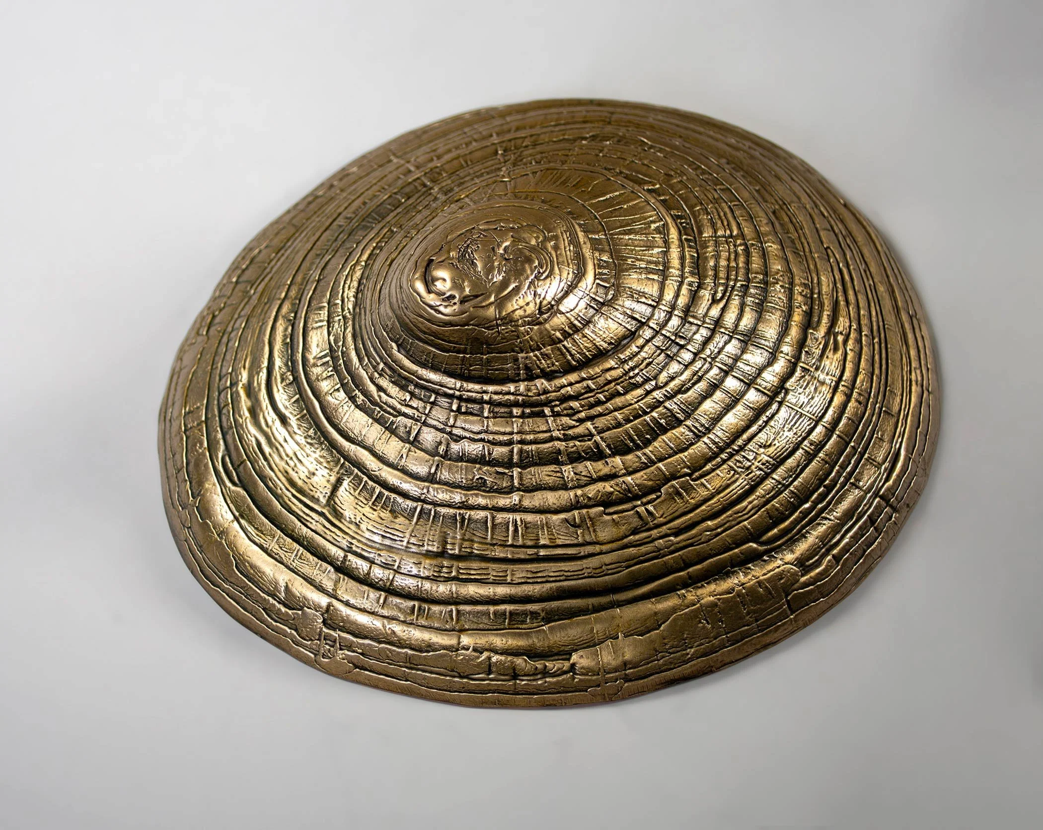 David Eisenhour - Limpet, unique bronze, 9 x 8 x 3 in.  $1500
