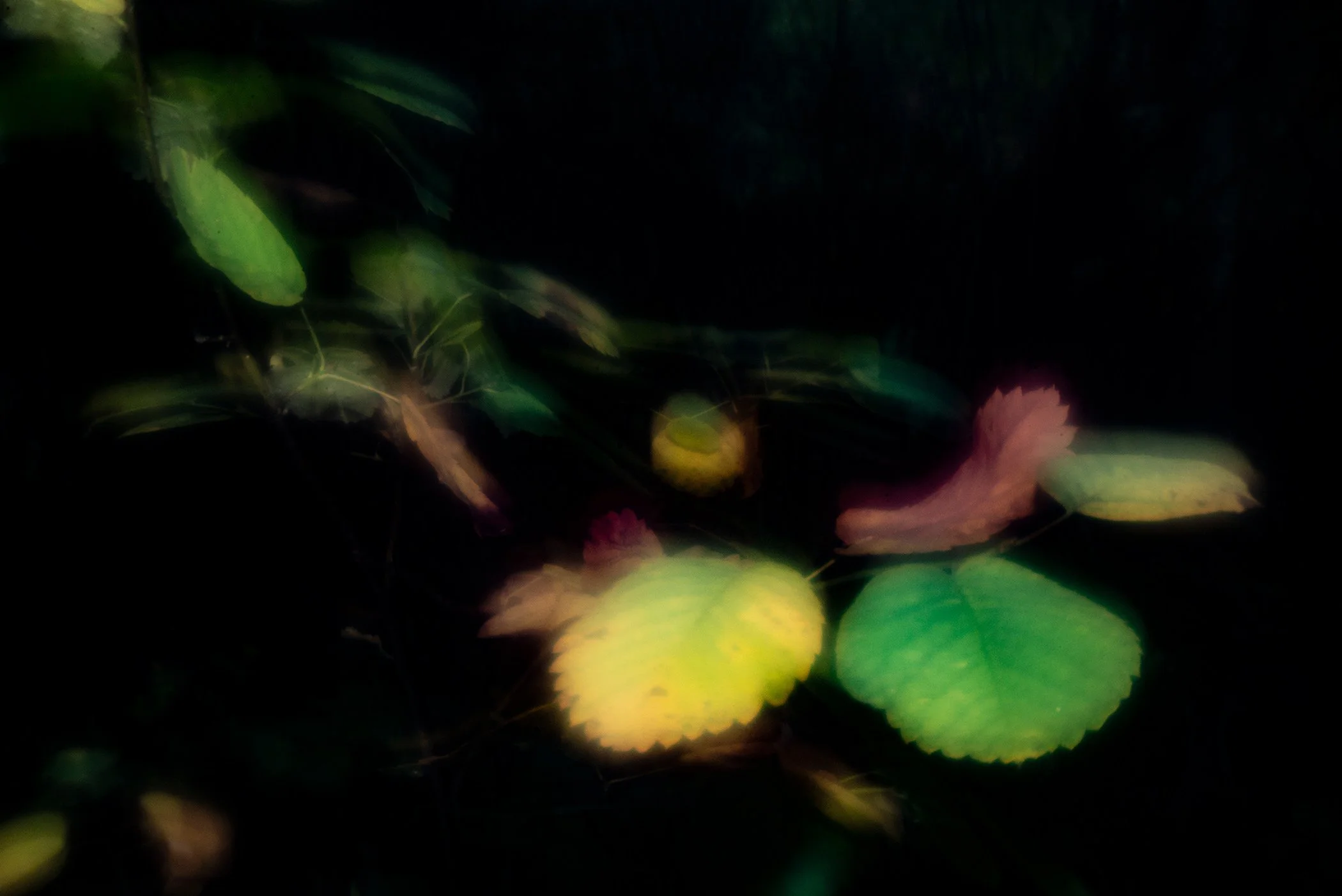 Christopher Harris - Barnum Point 4254, digital pinhole pigment print, 12 x 18 in. $1200