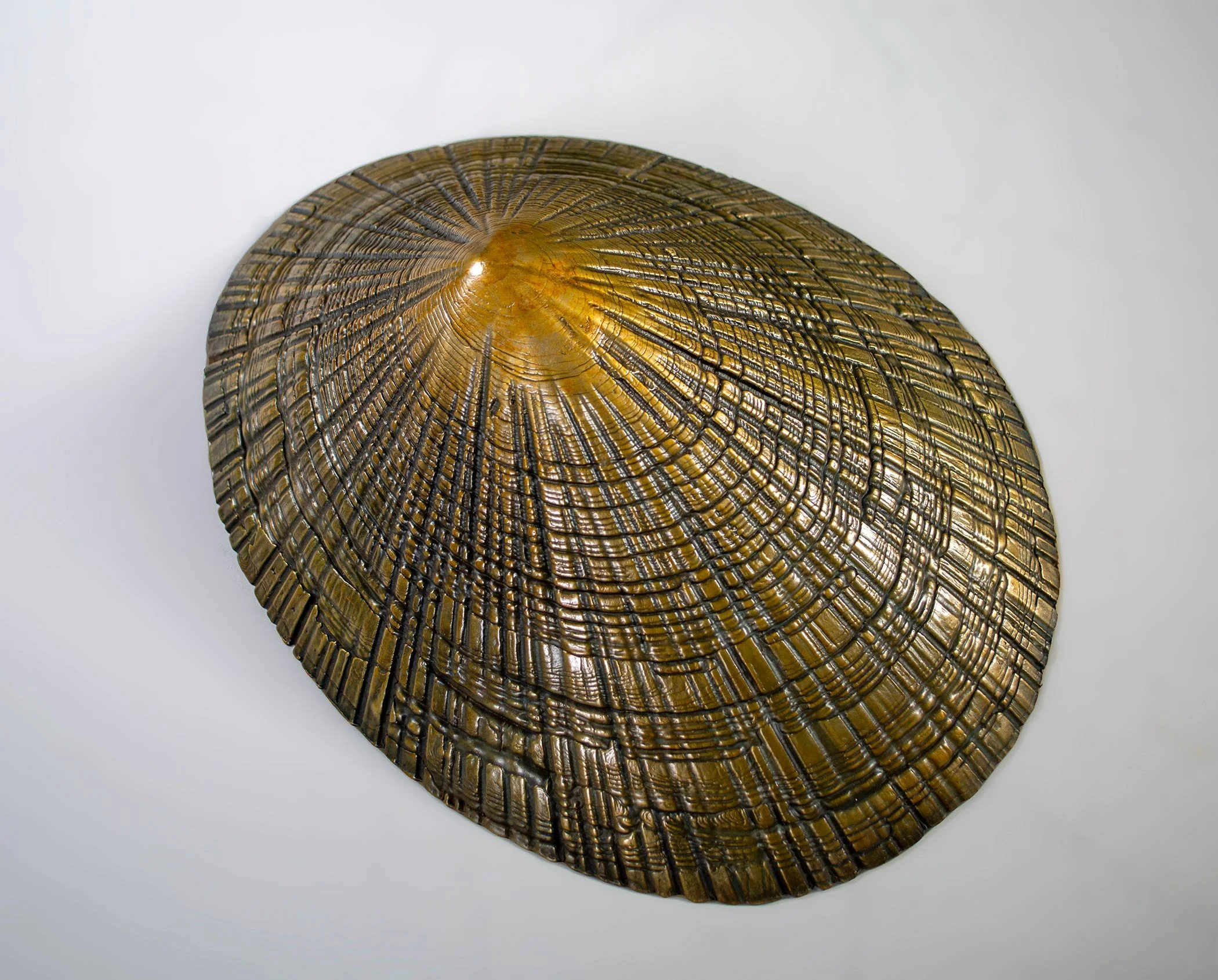 David Eisenhour - Limpet, unique bronze, 8.75 x 11.7 x 3.5 in.  $1600