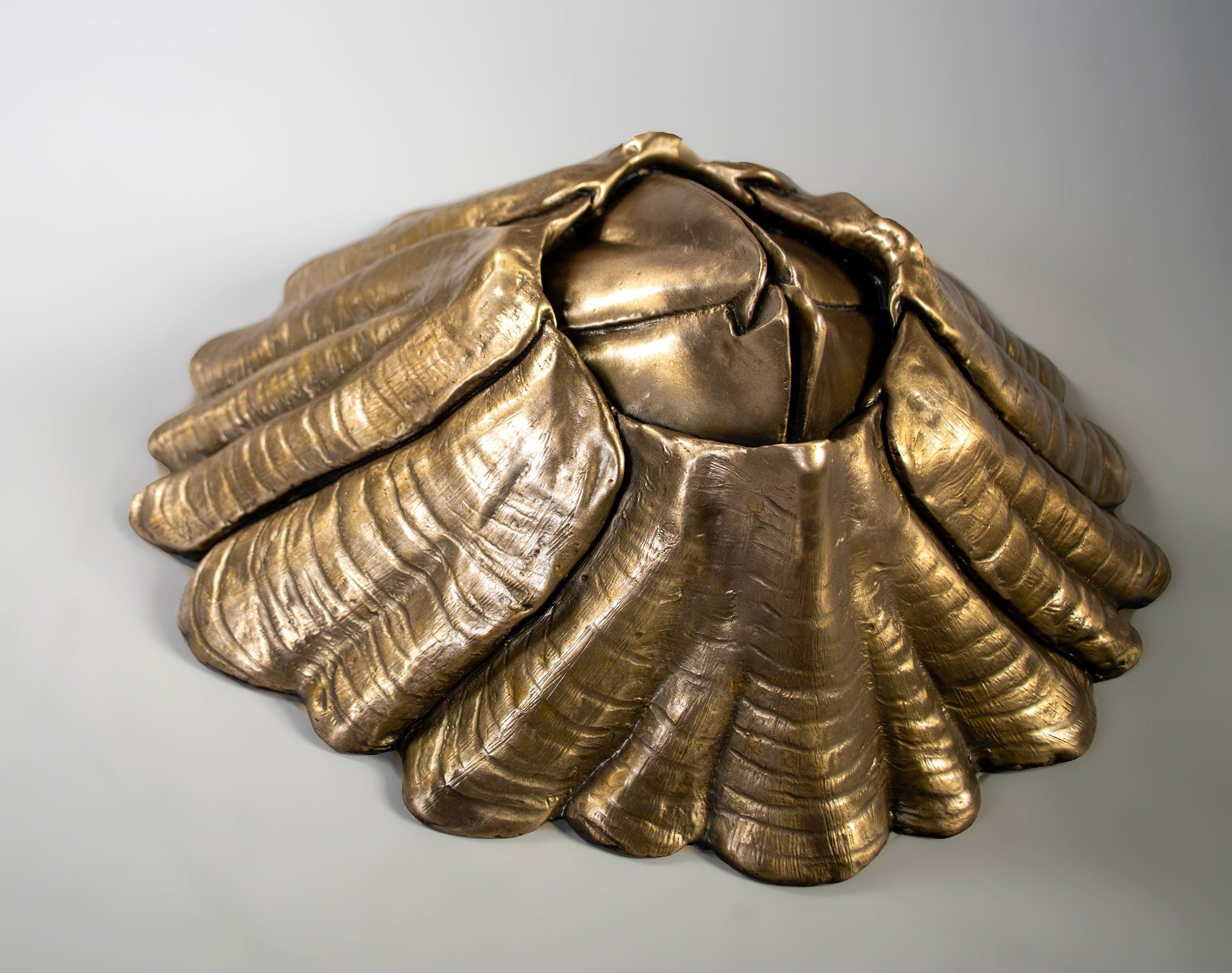 David Eisenhour - Barnacle, bronze, 12 x 12.5 x 5 in.  $2500