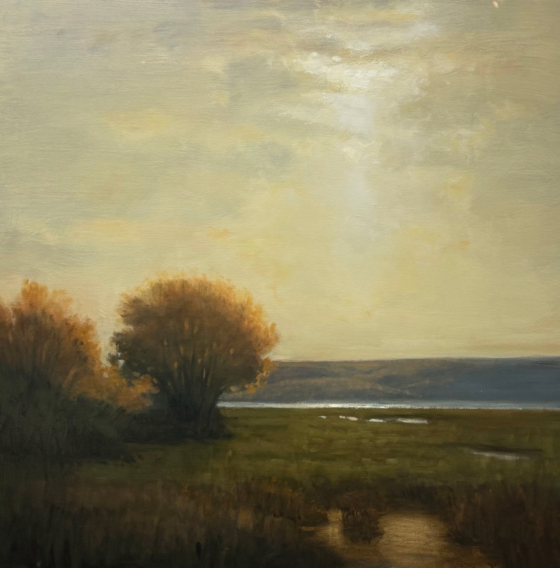 John McCormick - February Wetlands, oil on canvas, 36 x 36 in.  $9200
