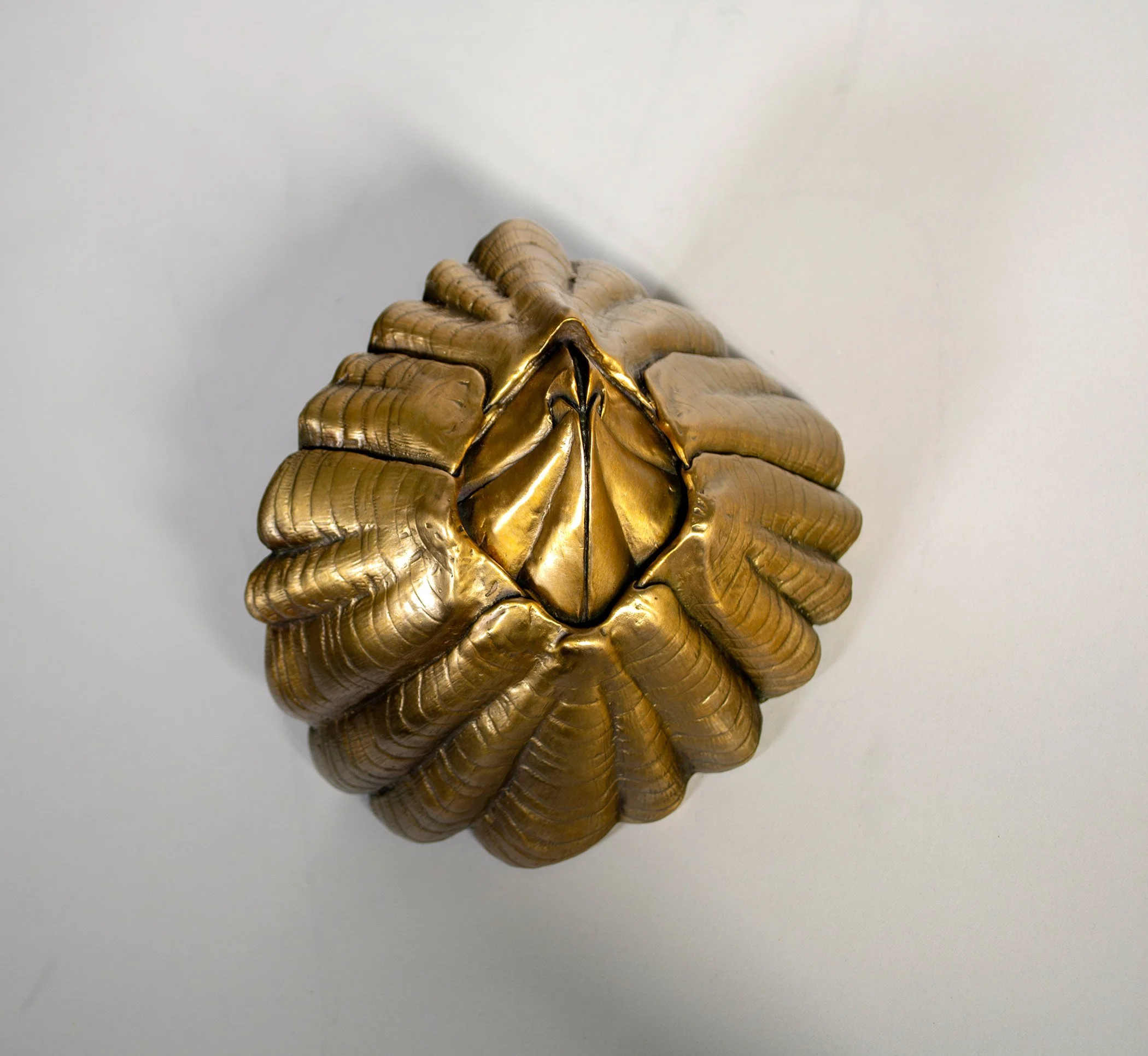 David Eisenhour - Barnacle Inside Corner I, bronze, 8 x 6 x 6 in. $950