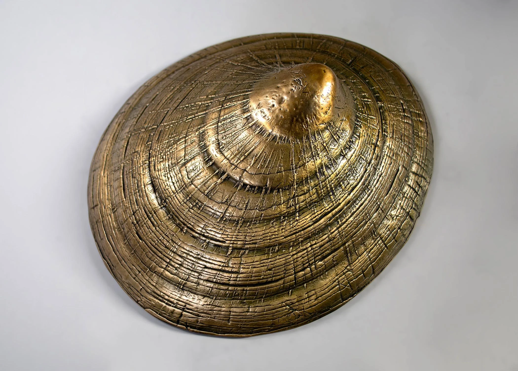 David Eisenhour - Limpet, unique bronze, 9.25 x 7.75 x 4 in. $1500
