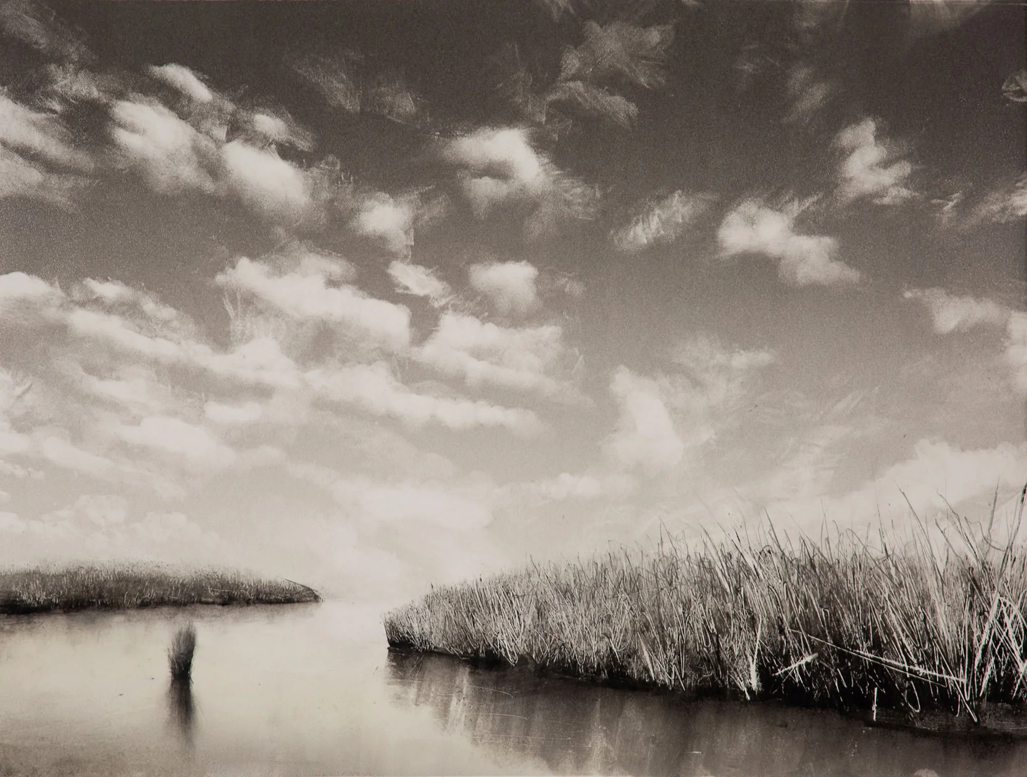 Wendy Orville - Wetlands with Mackerel Sky, monotype, 15.5 x 19.75 in. $3700 - On Hold