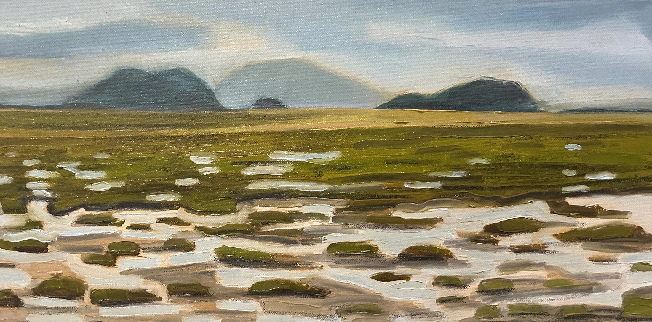 Hart James - Padilla Bay Tidal Mudflat, oil and charcoal on canvas, 10 x 20 in. $800