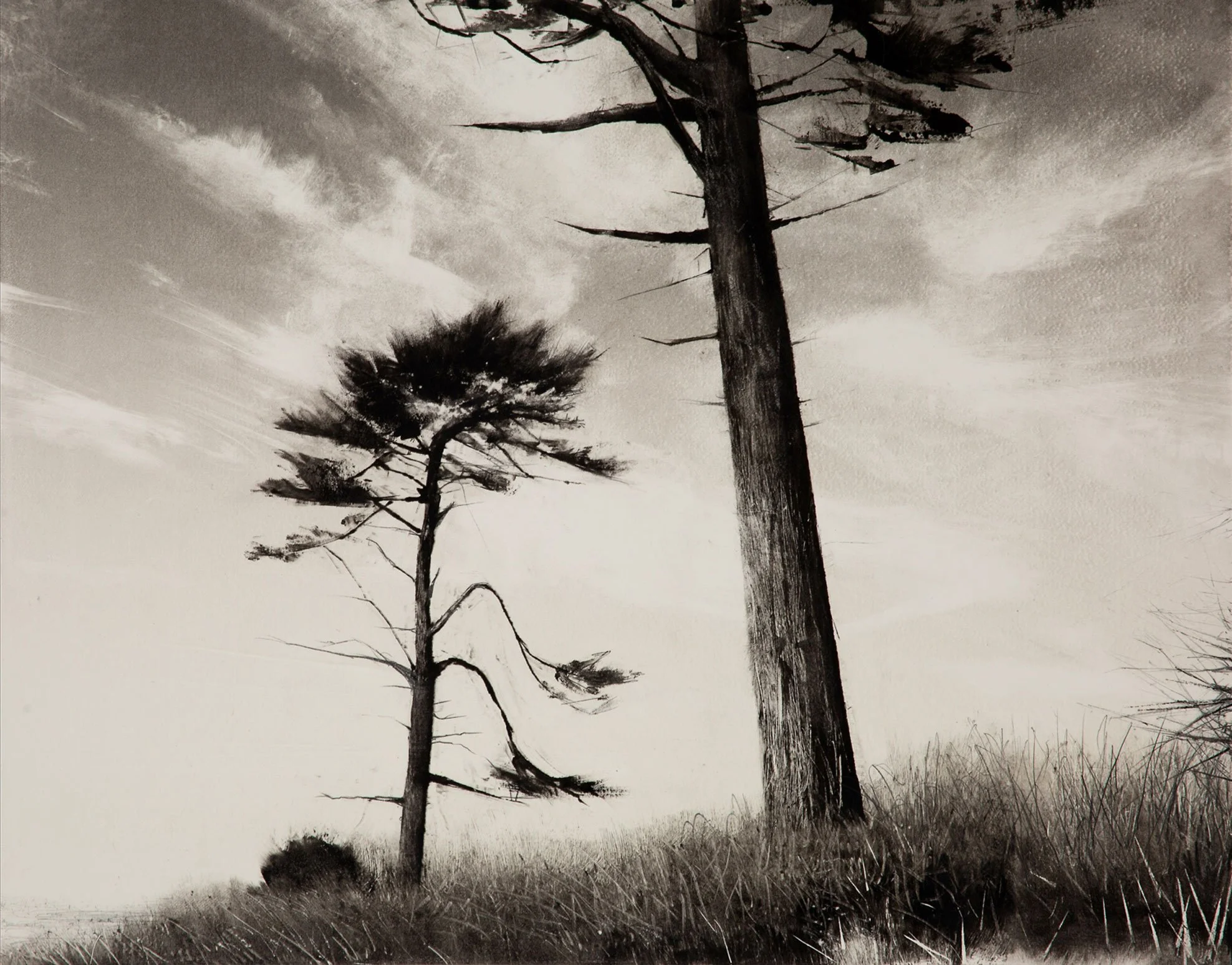 Wendy Orville - Coastal Firs, monotype, 15.75 x 19.75 in. $3700