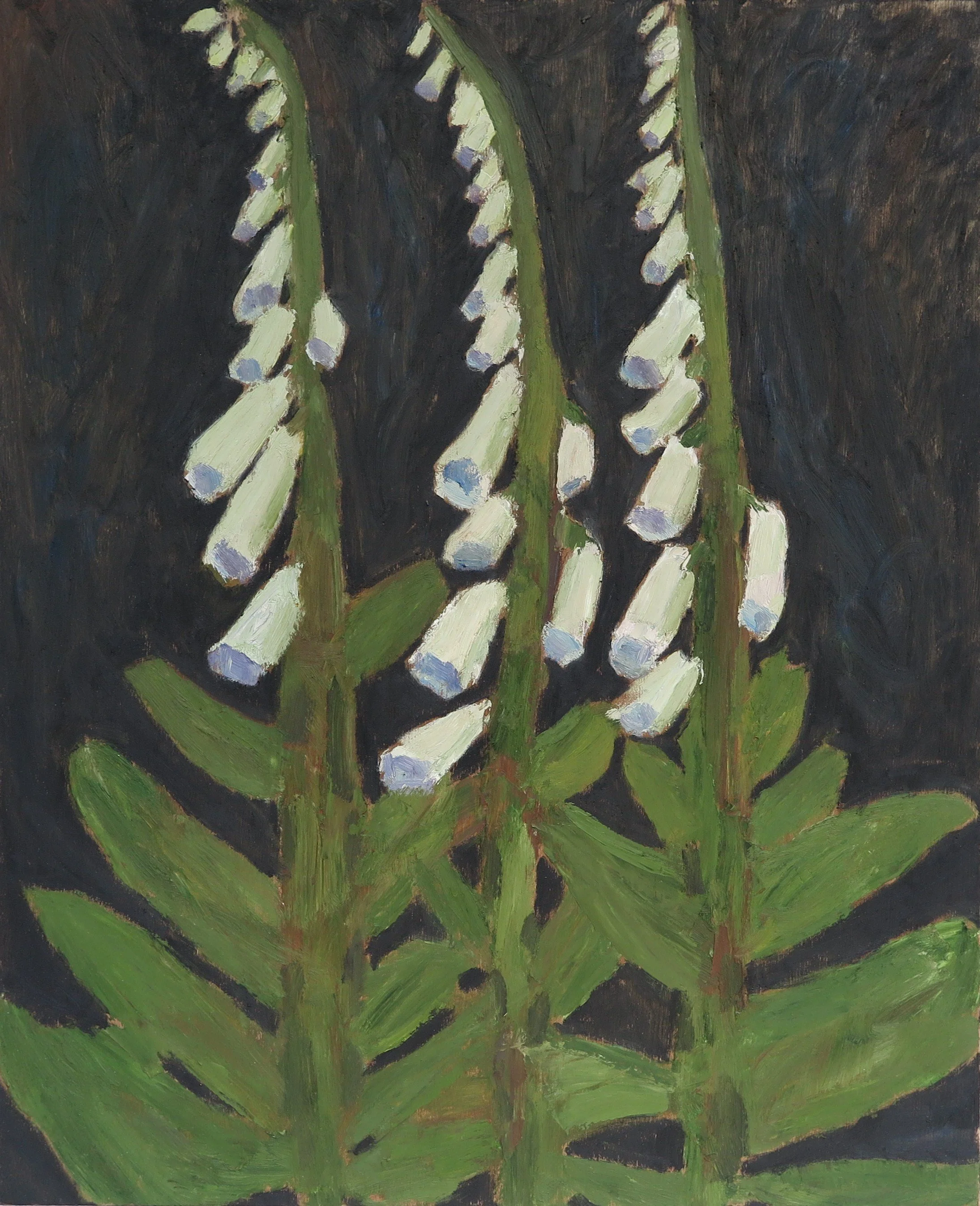 Gregg Laananen - White Foxglove, oil on panel, 22 x 18 in. $2000