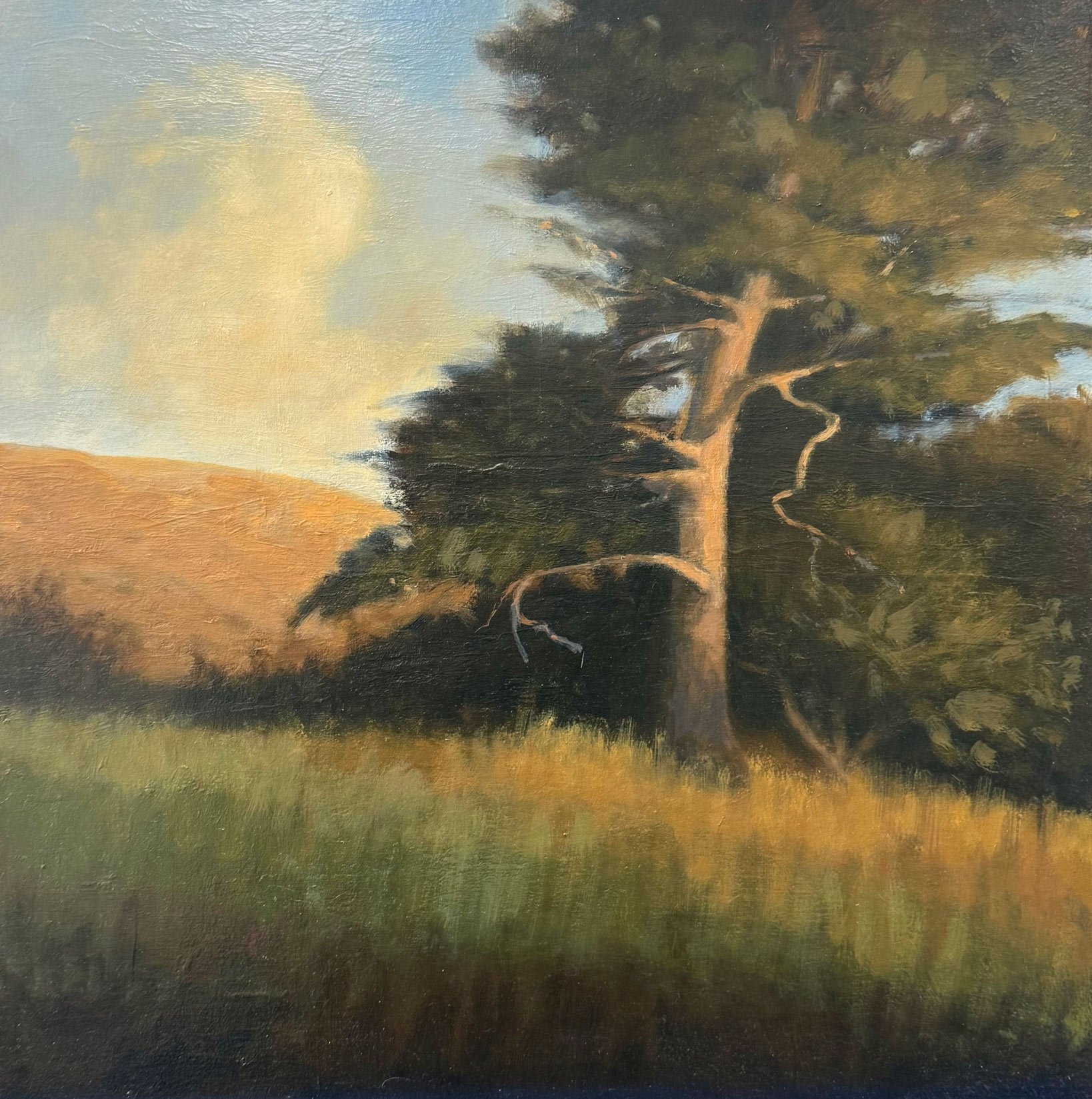 John McCormick - Hilltop with Trees, oil on panel, 18 x 18 in.  $2800