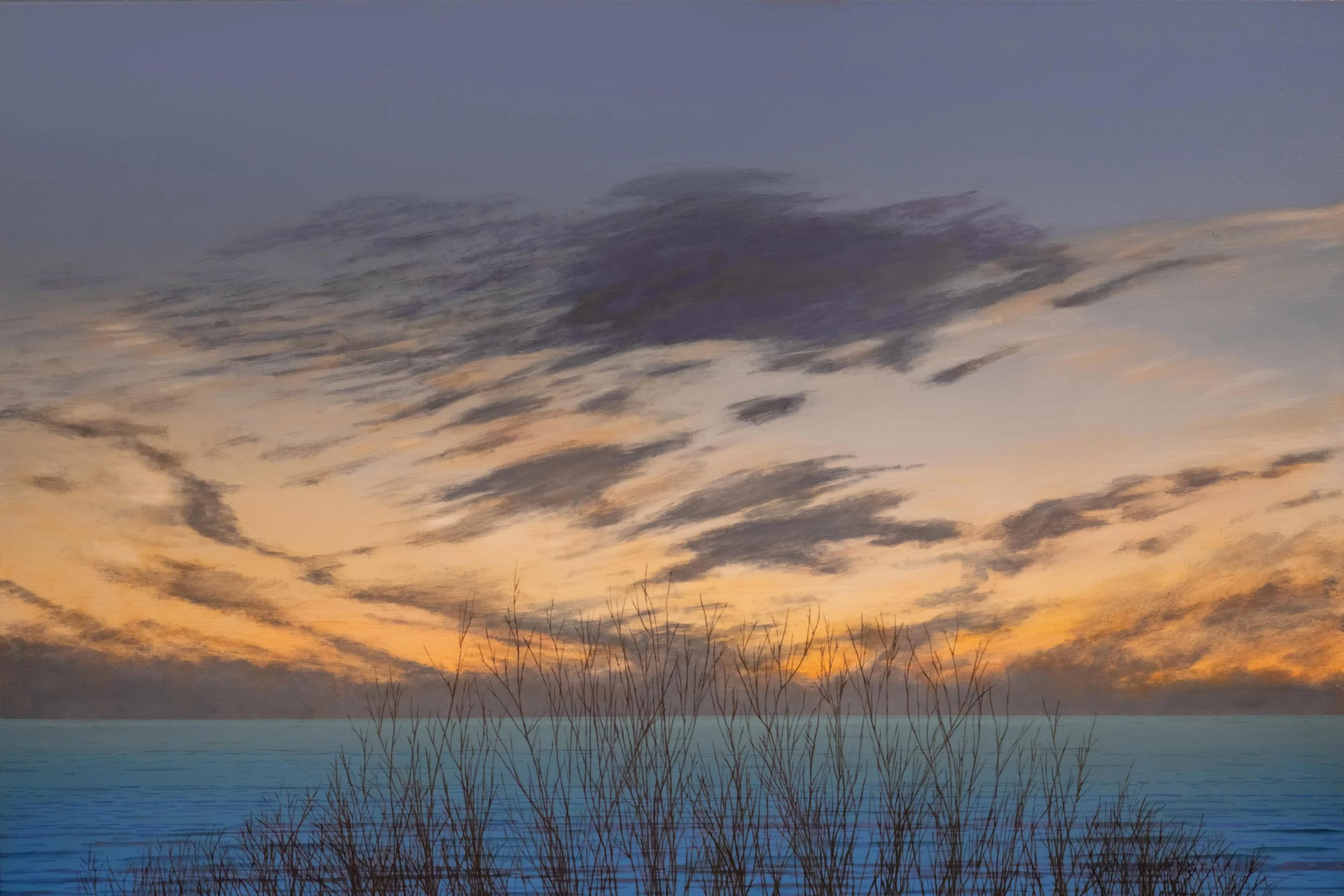 Fred Holcomb - Beach and Brush, oil on canvas, 40 x 60 in. 