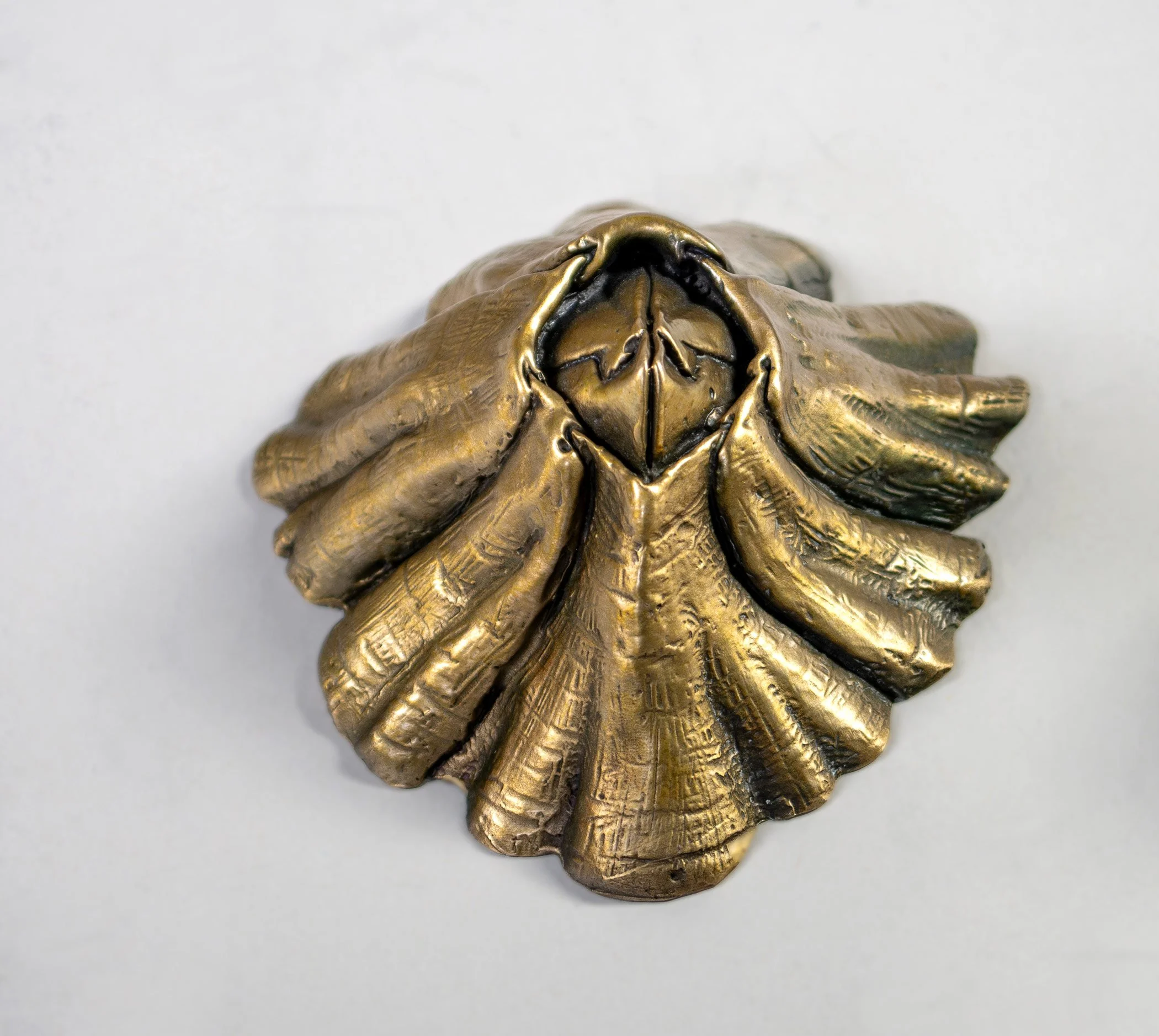 David Eisenhour - Barnacle III, bronze, 3.5 x 3 x 2 in. $500