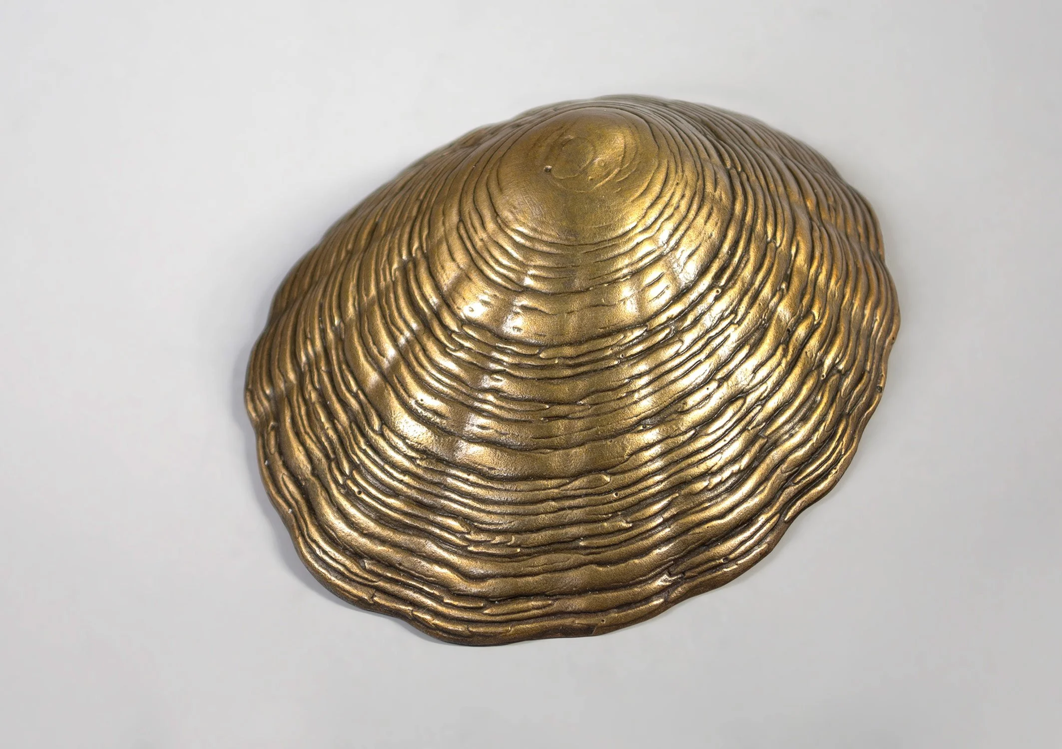 David Eisenhour - Limpet, unique bronze, 4 x 3.5 x 1.5 in.  $500