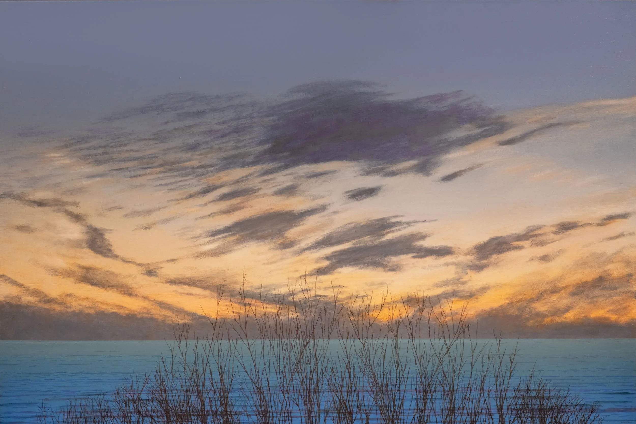 Fred Holcomb - Beach and Brush, oil on canvas, 40 x 60 in. SOLD