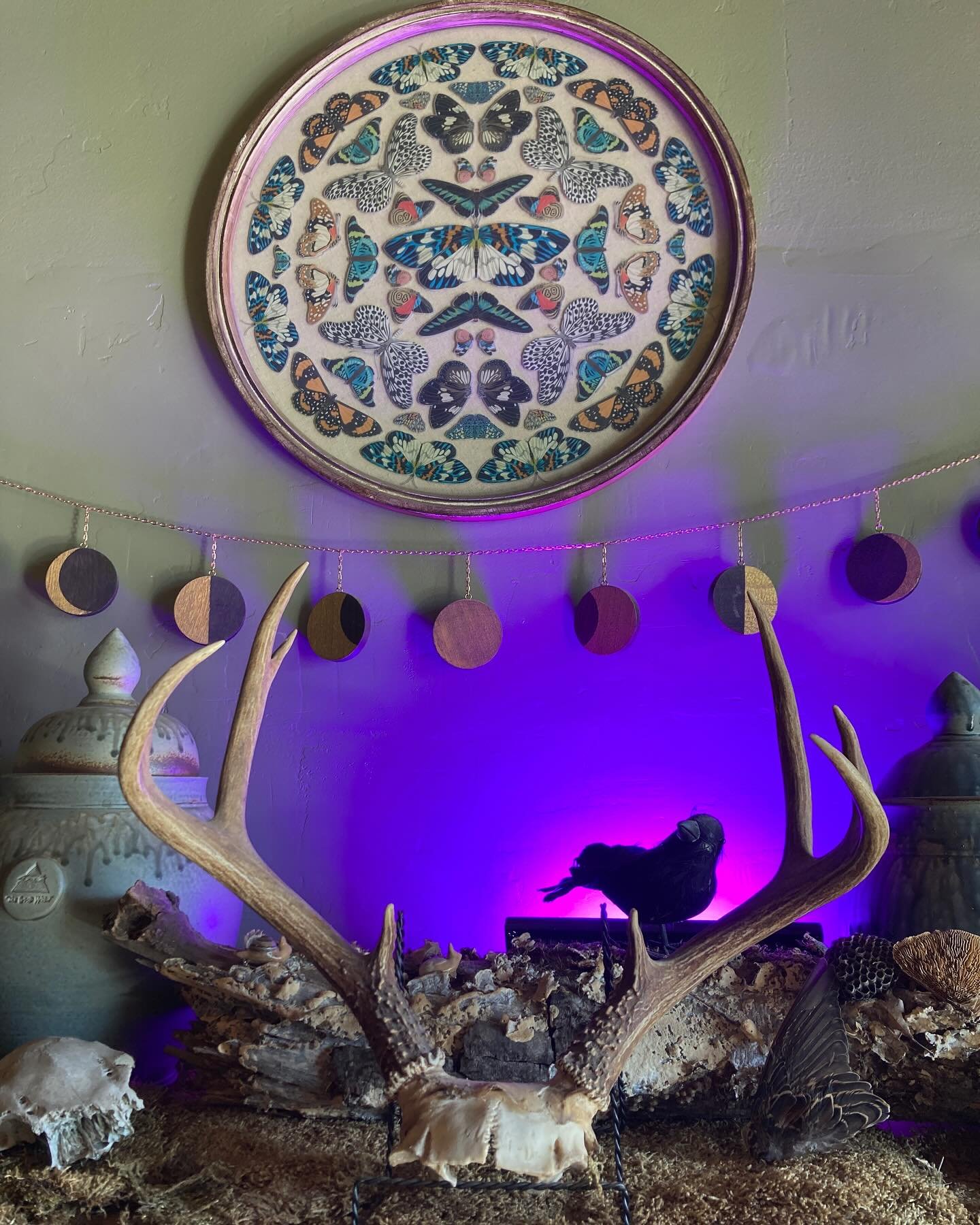 Spirit speaks in symbols. Are you listening?

Animals in particular are ever-present in my life, ever since I was a child. I was that kid who asked &ldquo;what&rsquo;s your spirit animal?&rdquo; as if that was as normal as asking about favorite color