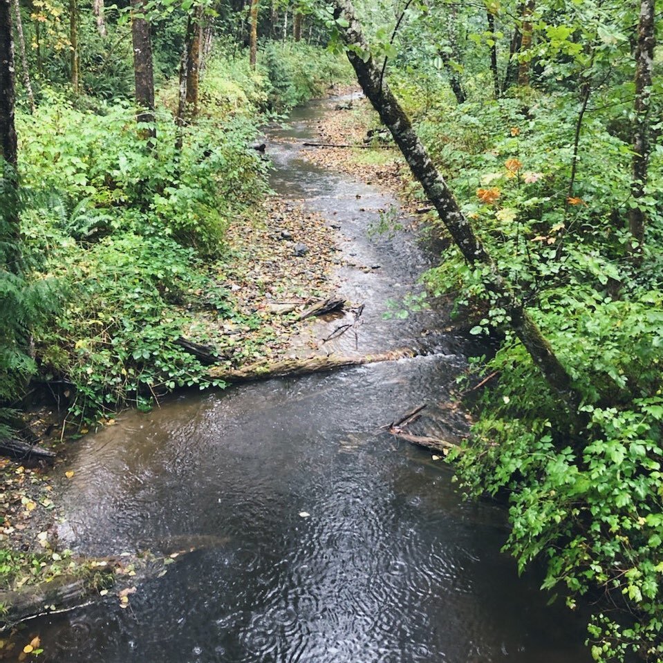 Anderson Creek runs along one side of our gardens and it&rsquo;s filling up nicely after all these rains. You can really feel the seasons changing here at the property and it sure feels good. Fall might be our favorite season. 🍁