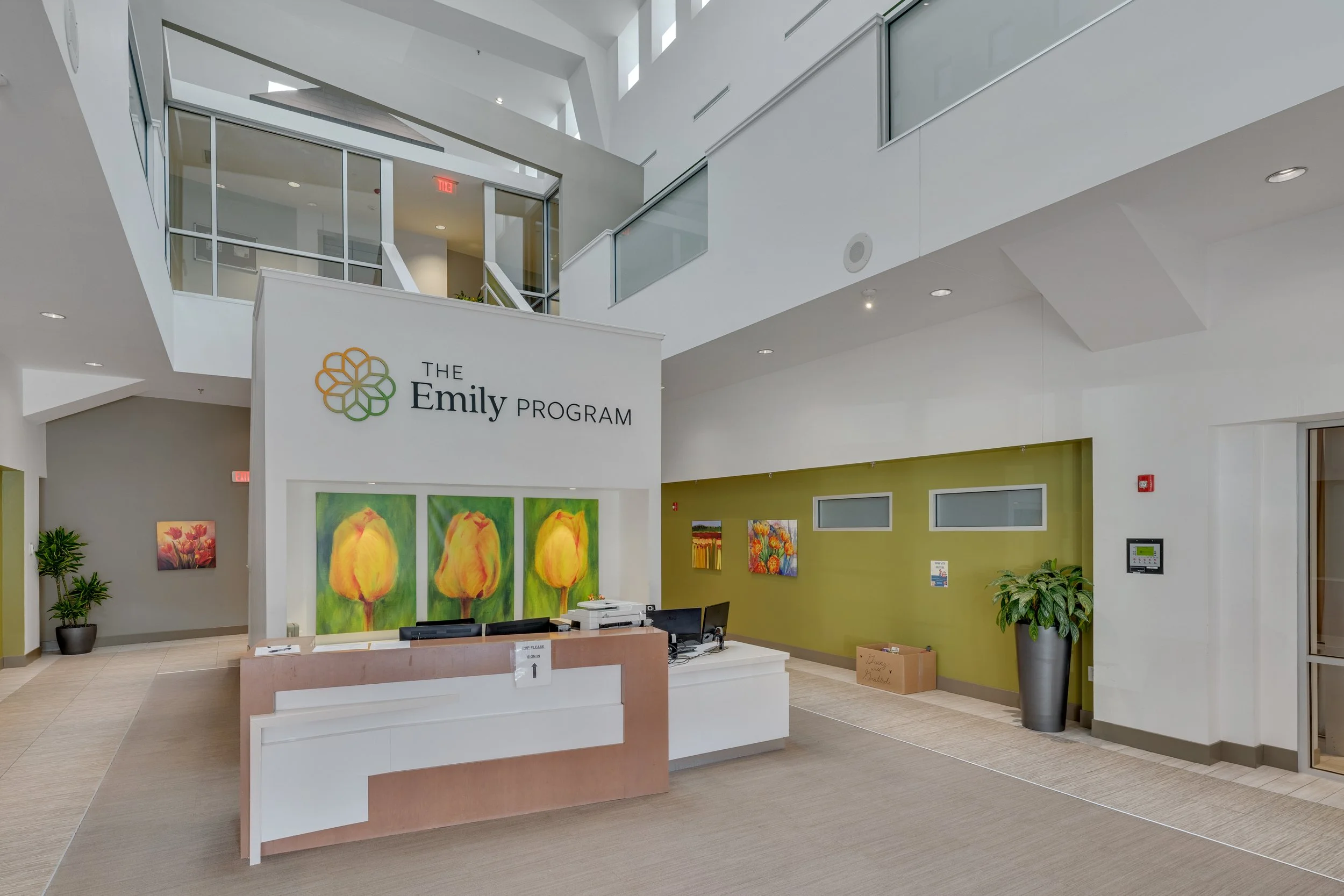 The Emily Program-2.jpg