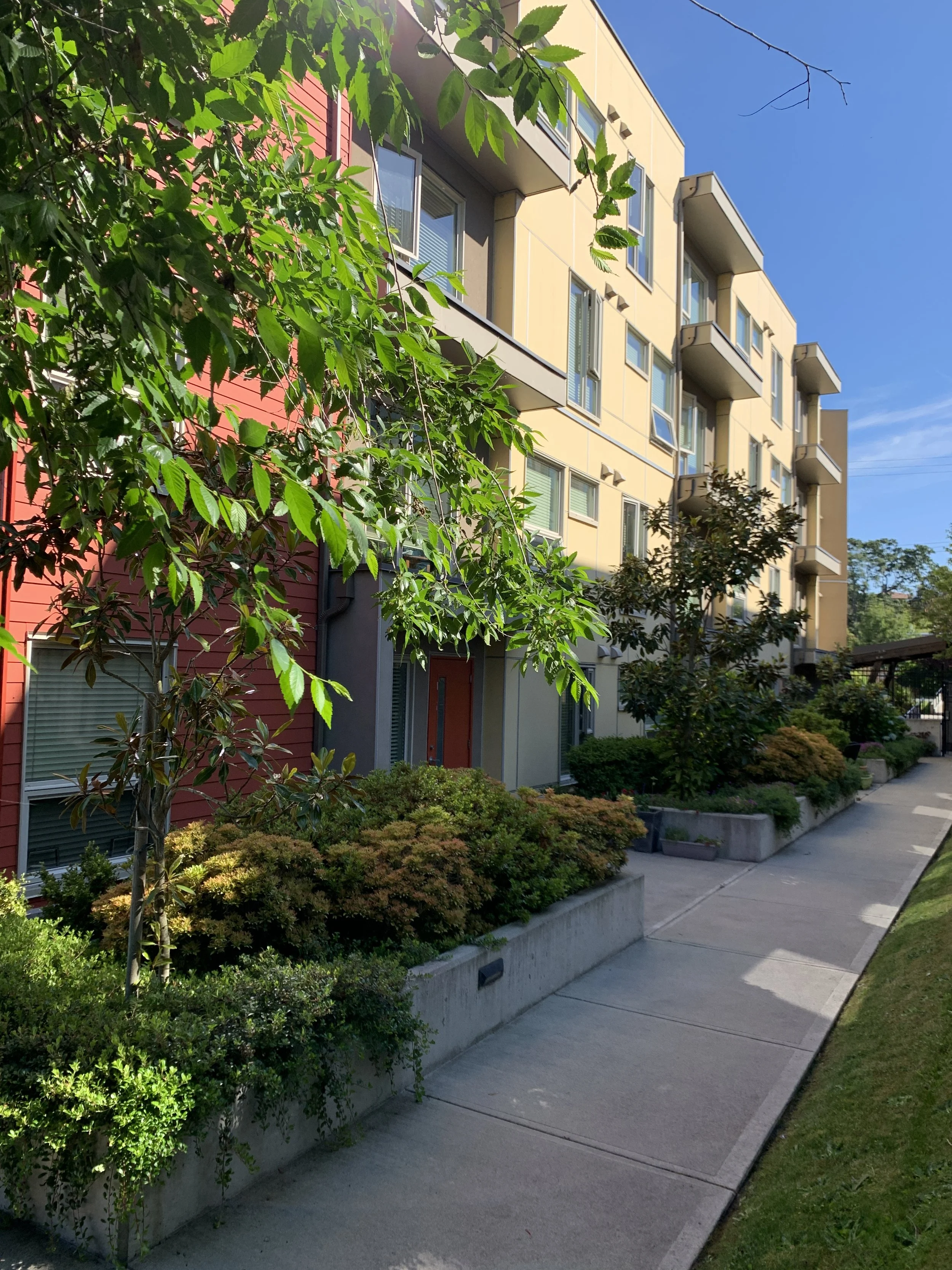 garden walkway.