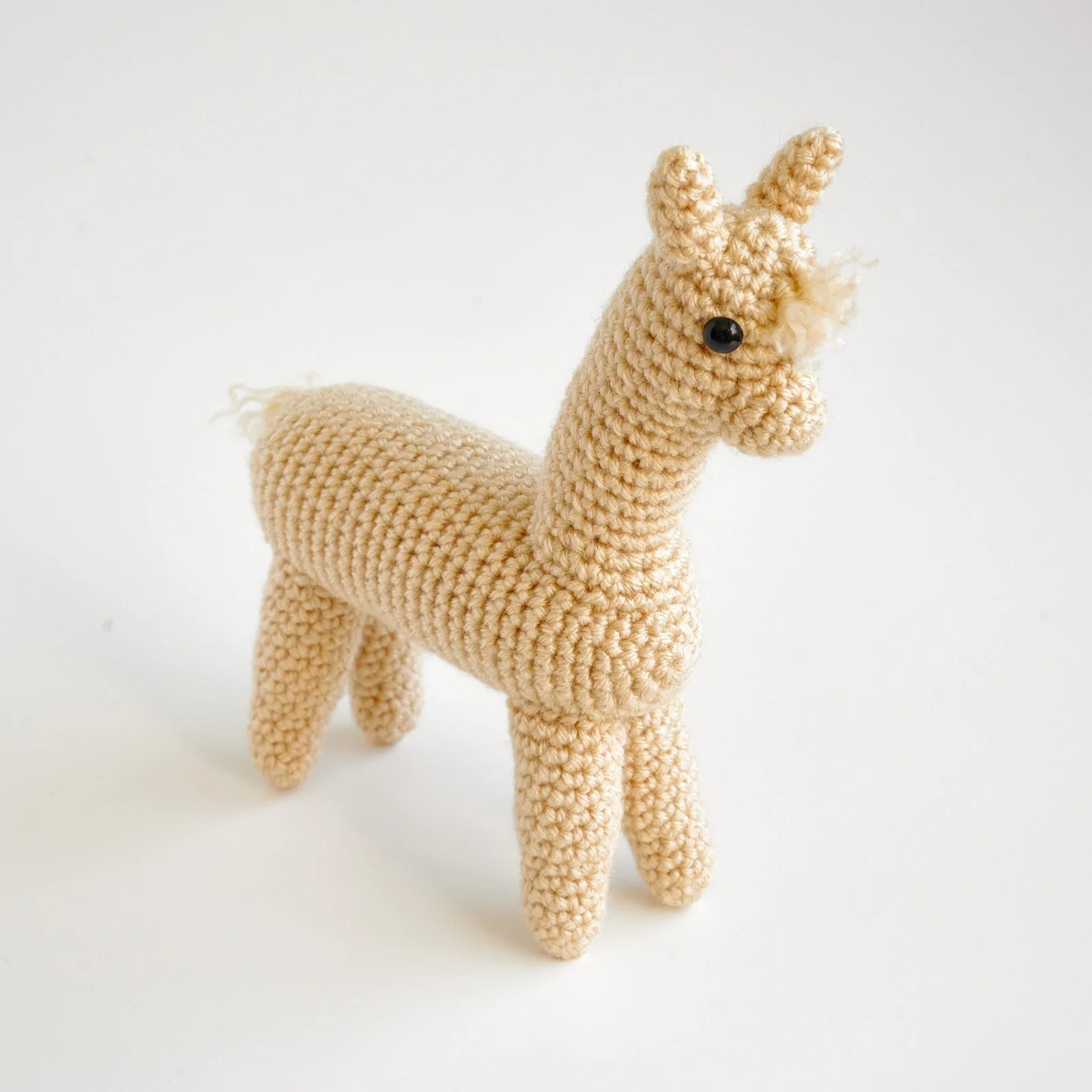 Llama PJ 3.jpg